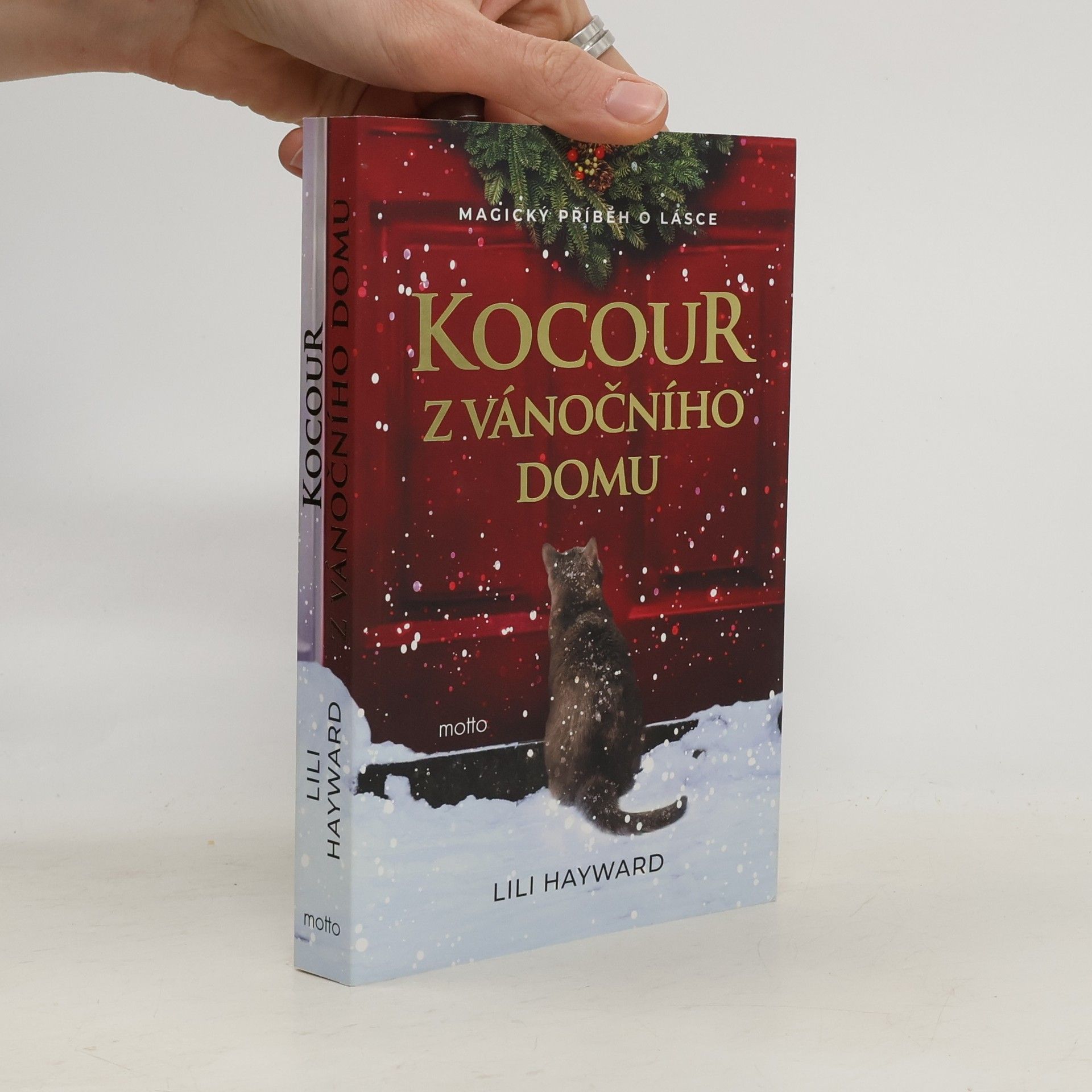 Lili Hayward Kocour z vánočního domu