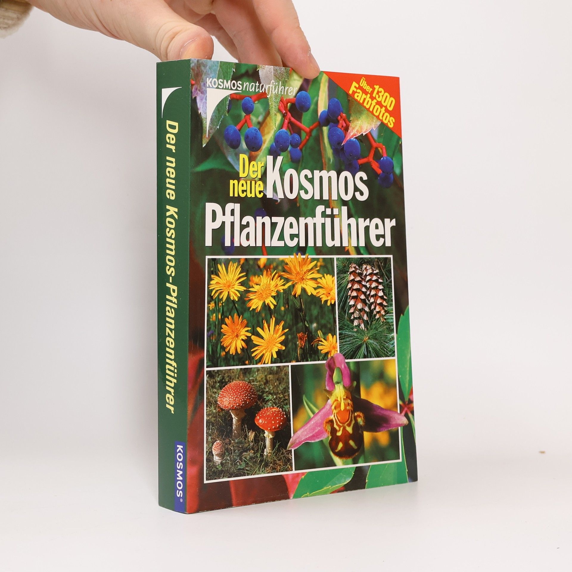 Wilfried Stichmann Der neue Kosmos-Pflanzenführer