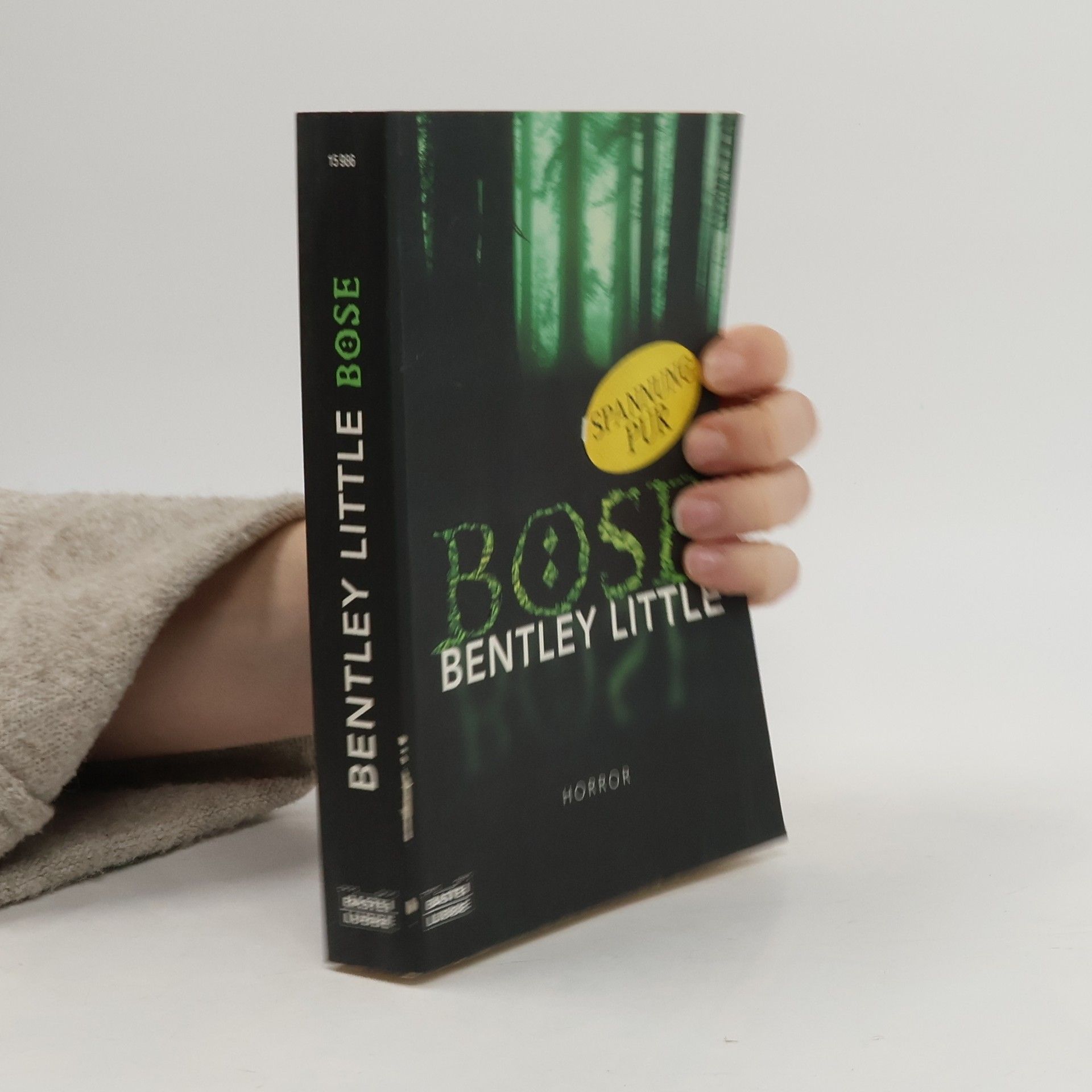 Bentley Little Böse