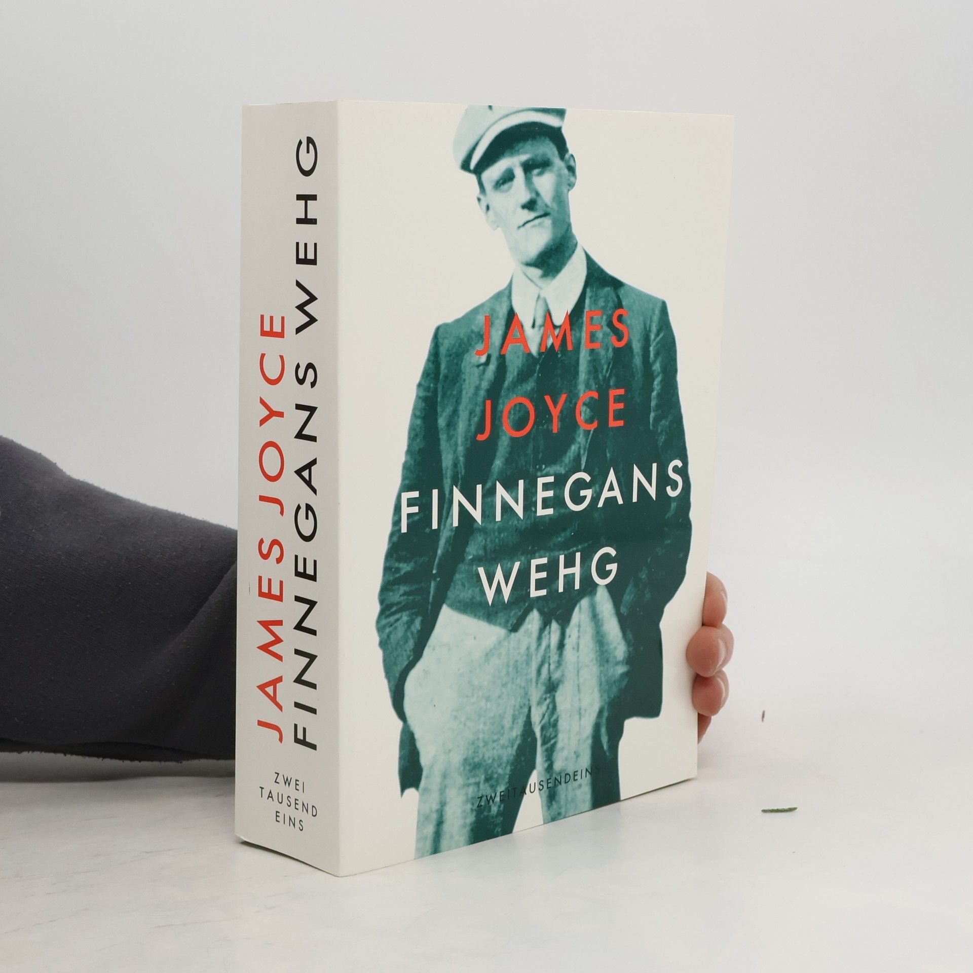 James Joyce Finnegans Wehg