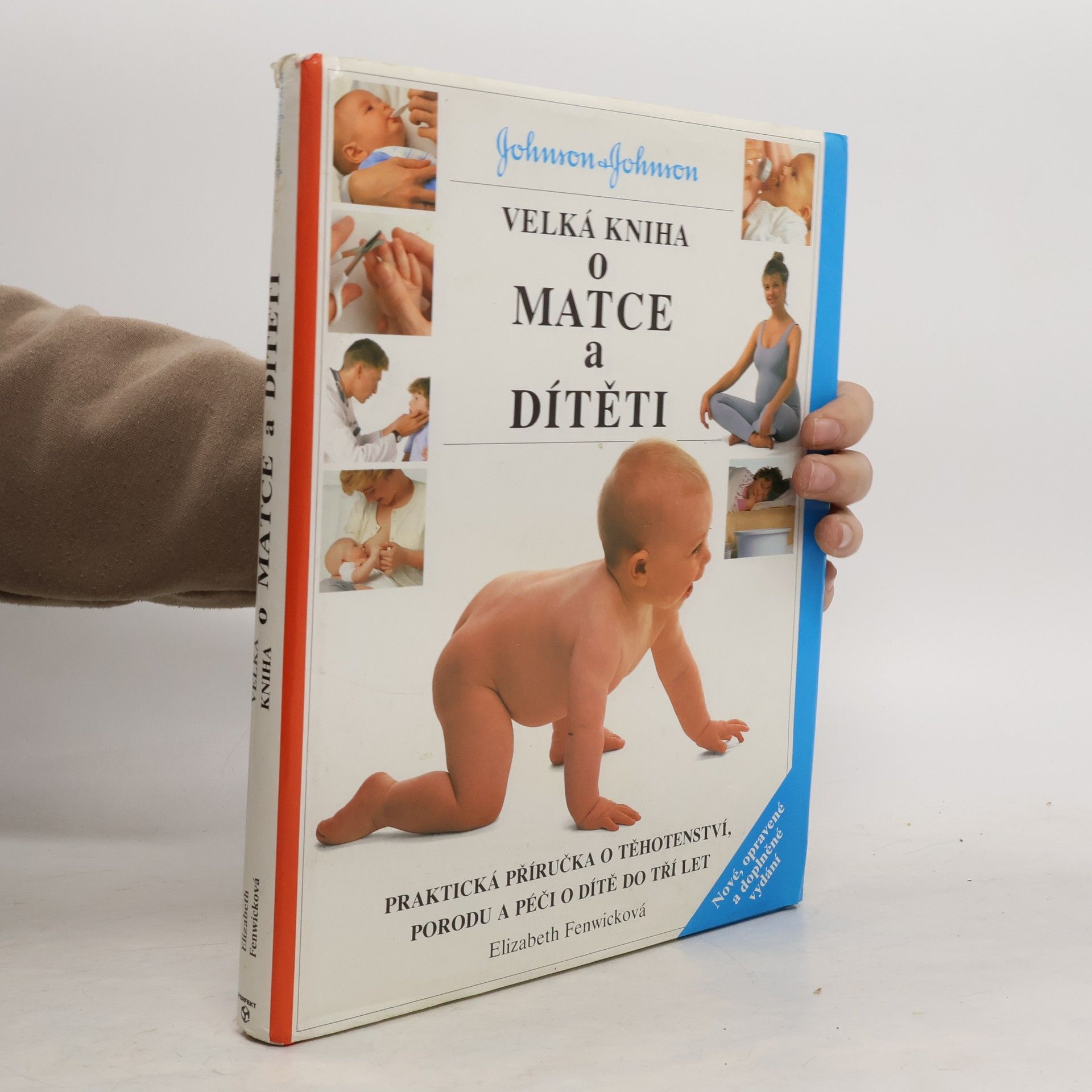 Elizabeth Fenwick Velká kniha o matce a dítěti