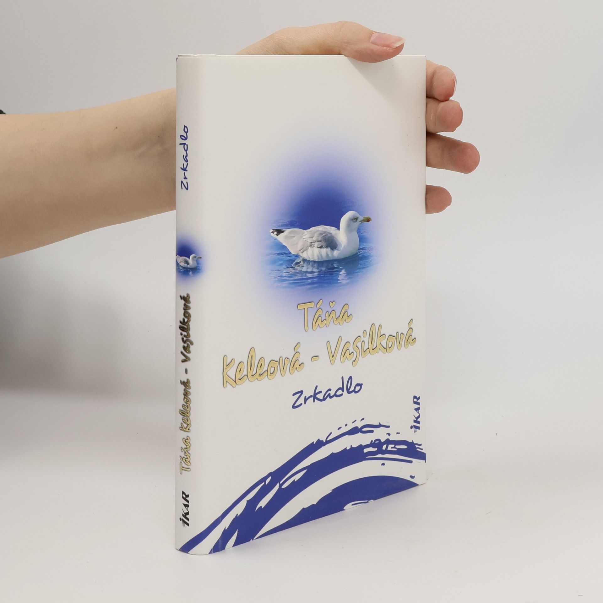 Táňa Keleová-Vasilková Zrkadlo