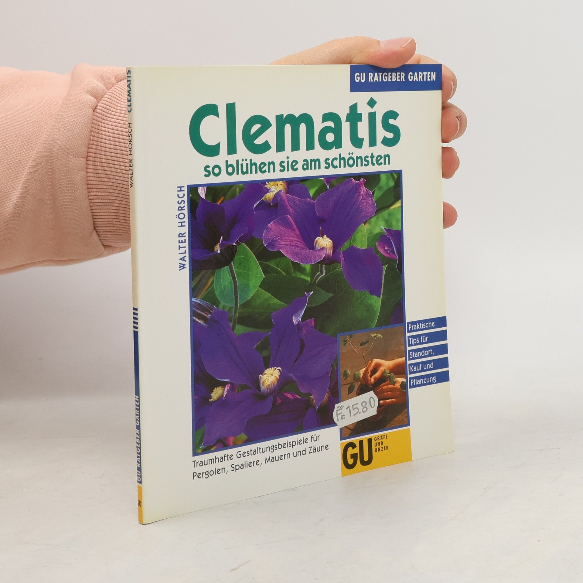 Clematis so blühen sie am schönsten