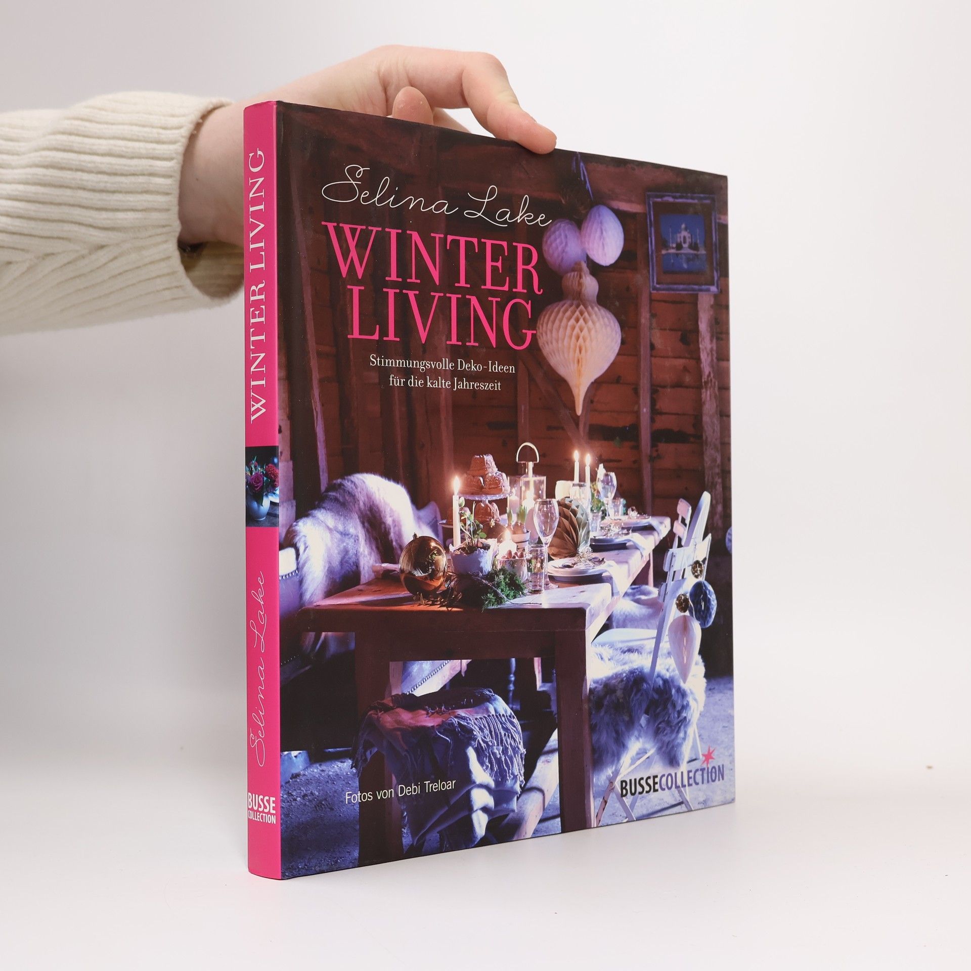 Selina Lake Winter living