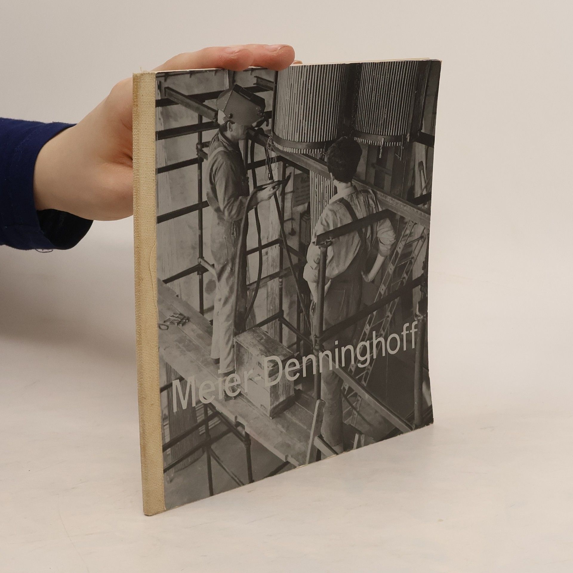 Kolektív autorov Meier-Denninghoff