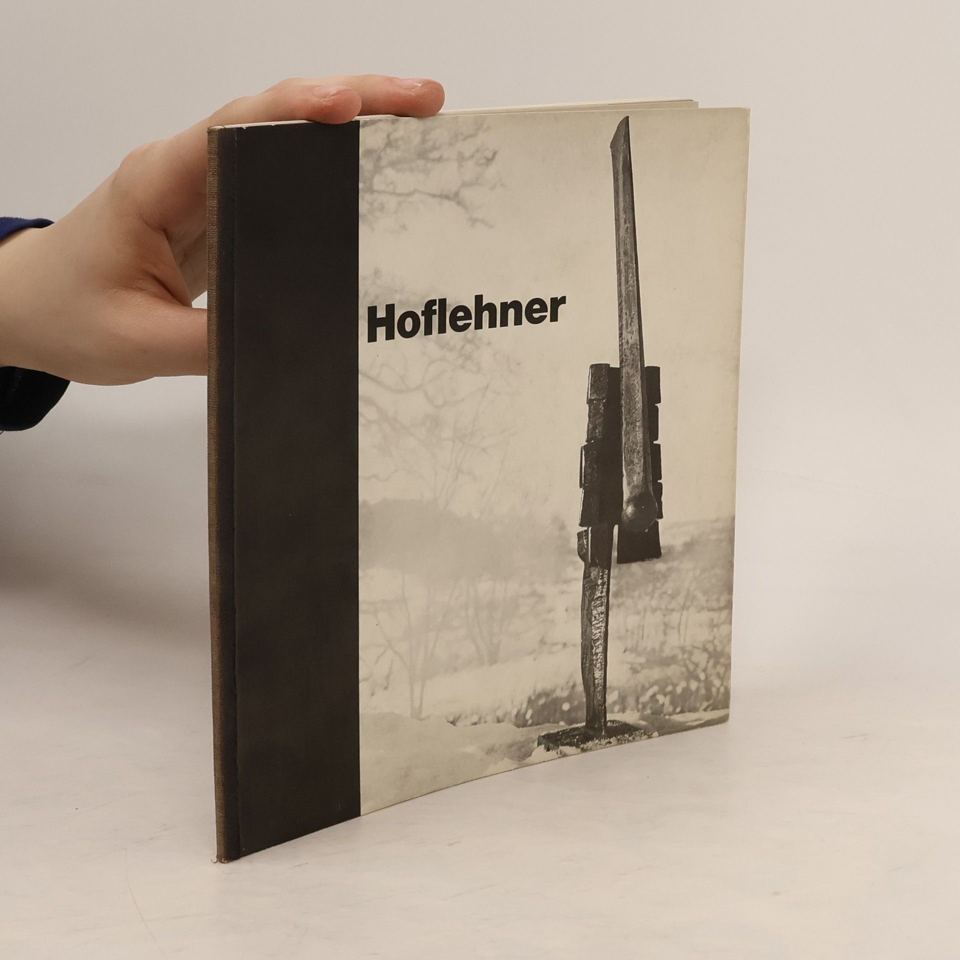 Autorenkollektiv Hoflehner