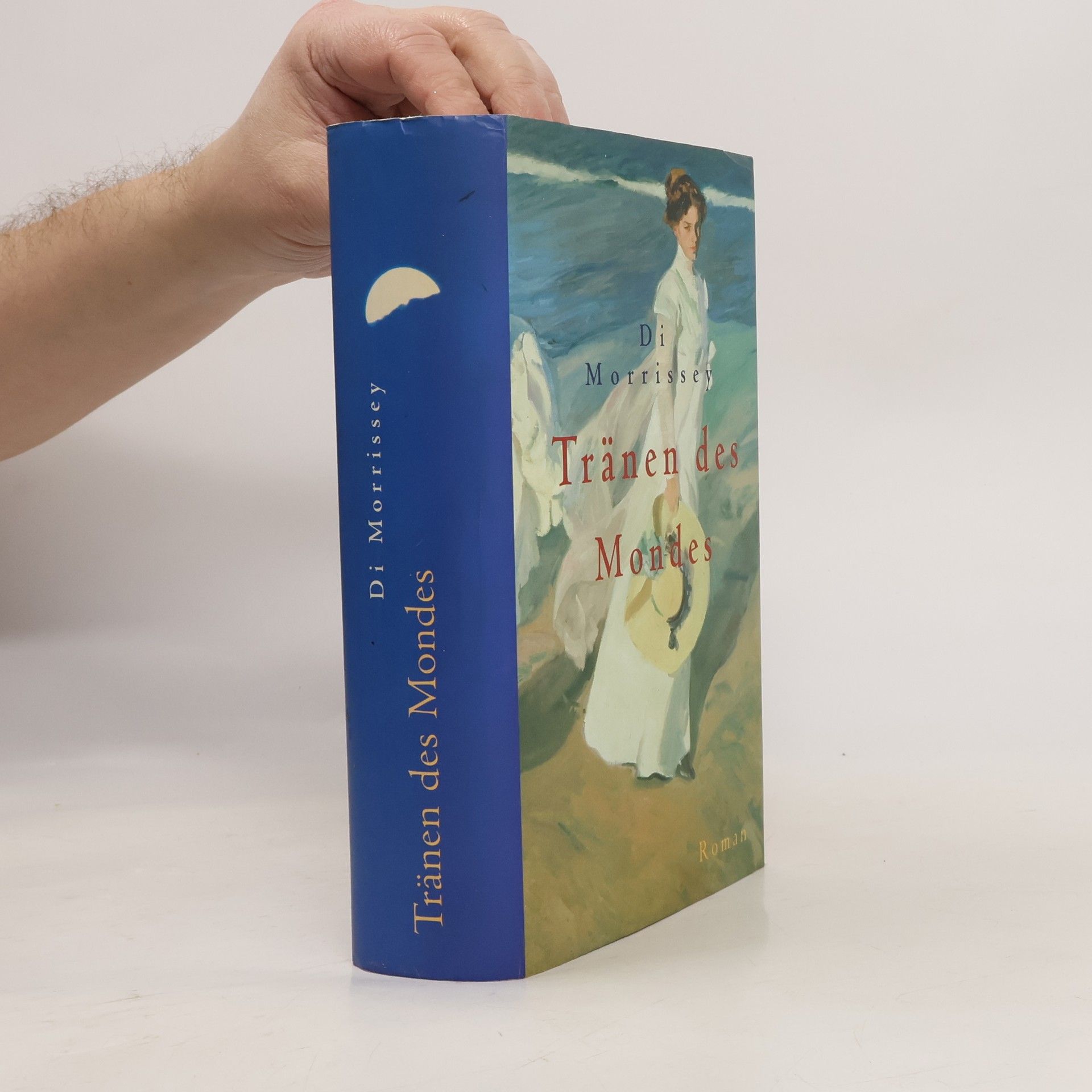 Di Morrissey Tränen des Mondes