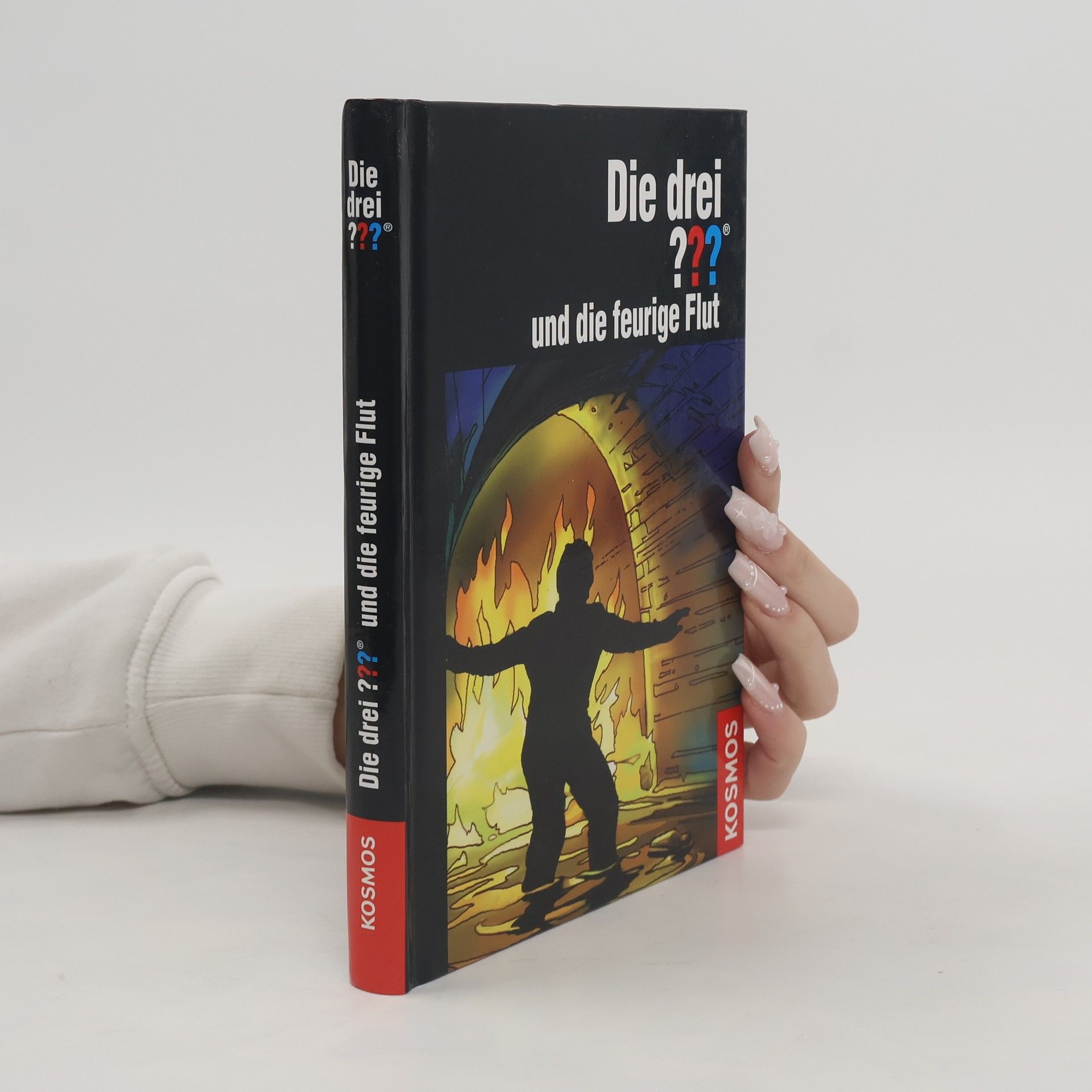 Kari Erlhoff Die drei ??? und die feurige Flut