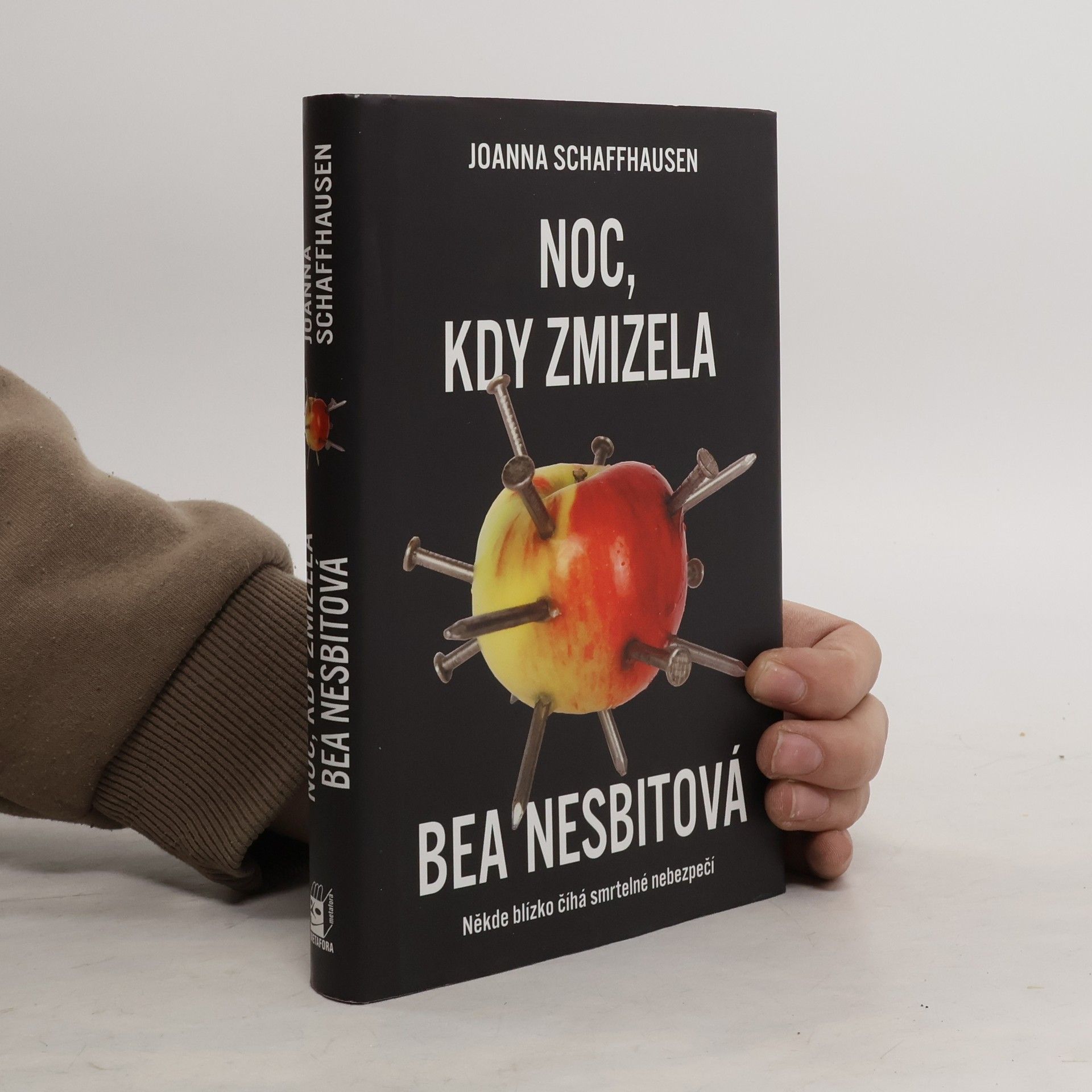 Joanna Schaffhausen Noc, kdy zmizela Bea Nesbitová