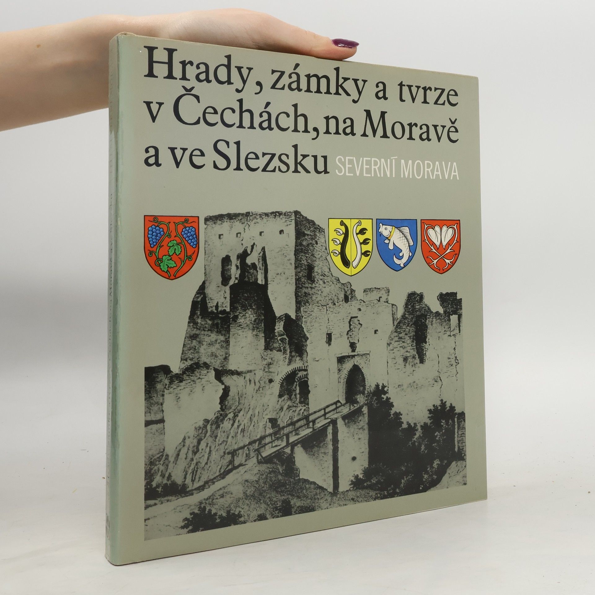 Autorenkollektiv Hrady, zámky a tvrze v Čechách, na Moravě a ve Slezsku II. Severní Morava