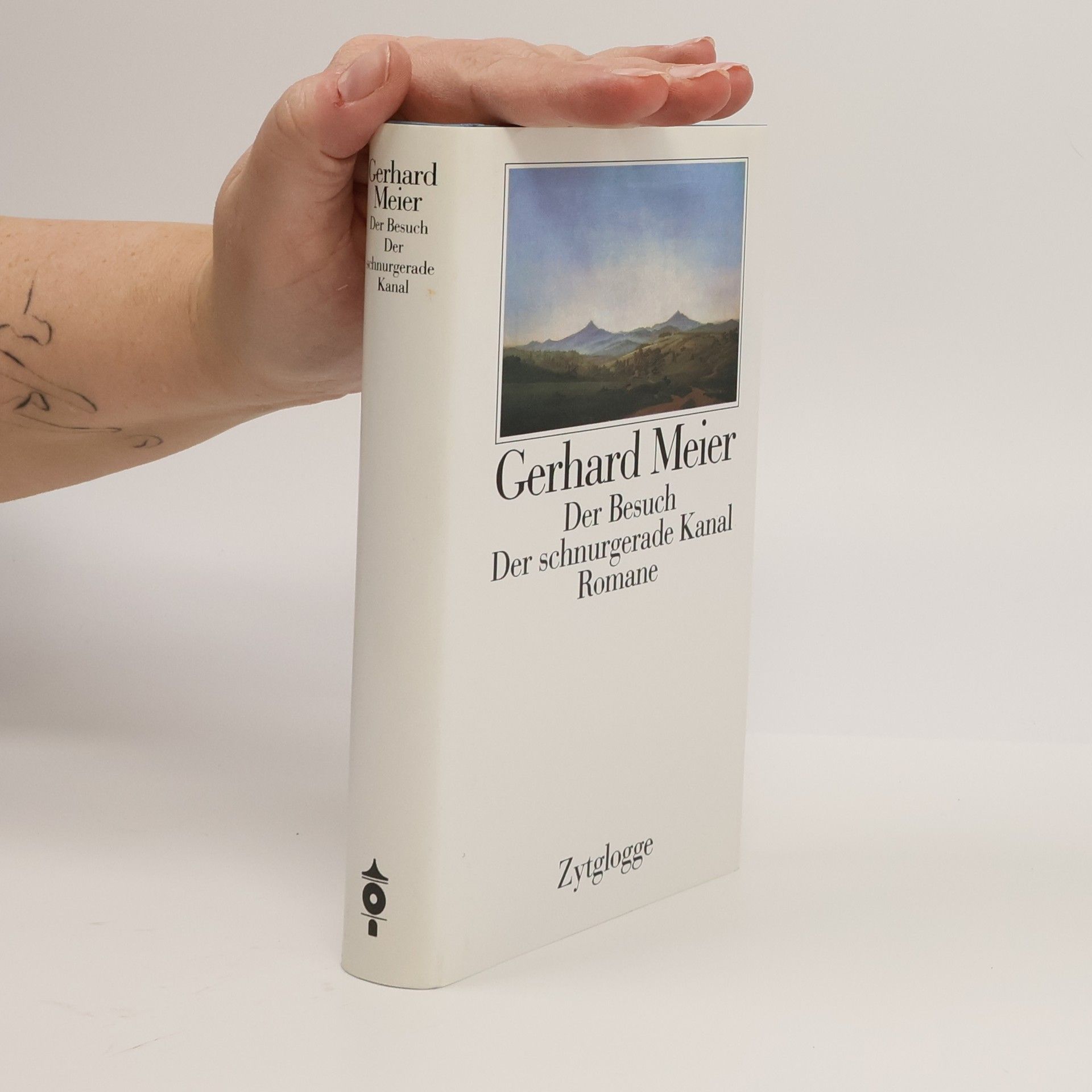 Gerhard Meier Der Besuch. Der schnurgerade Kanal