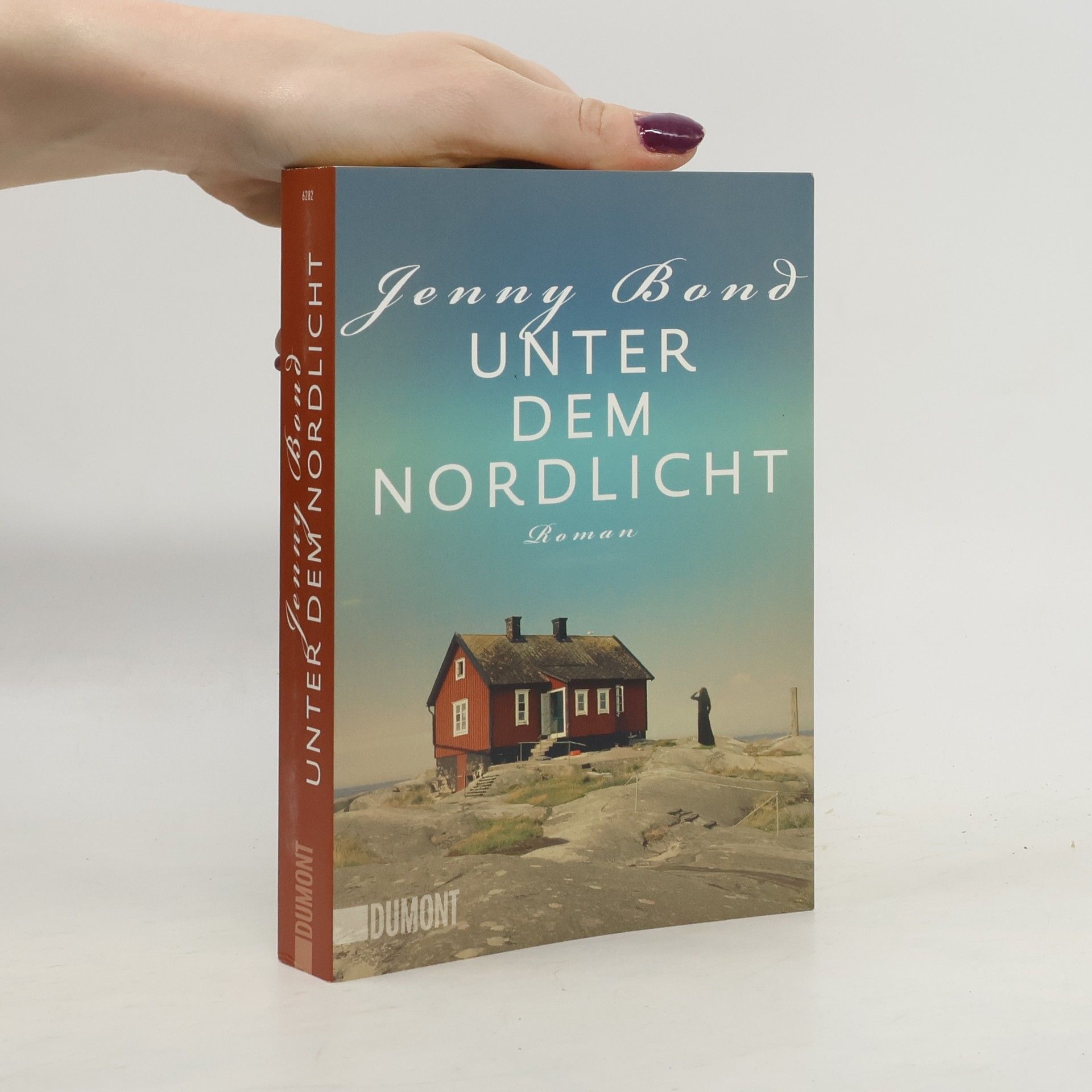 Jenny Bond Unter dem Nordlicht