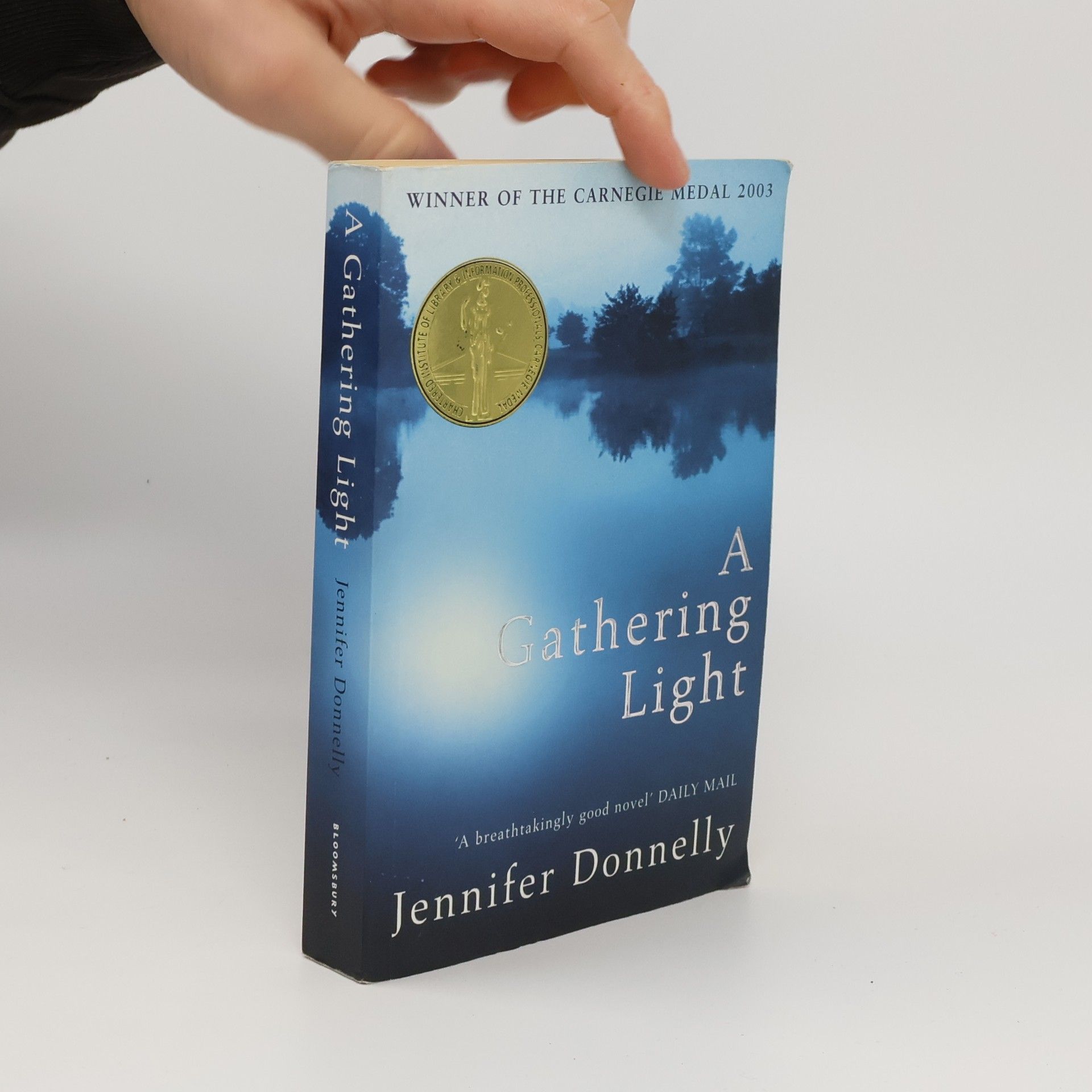 Jennifer Donnelly A gathering light
