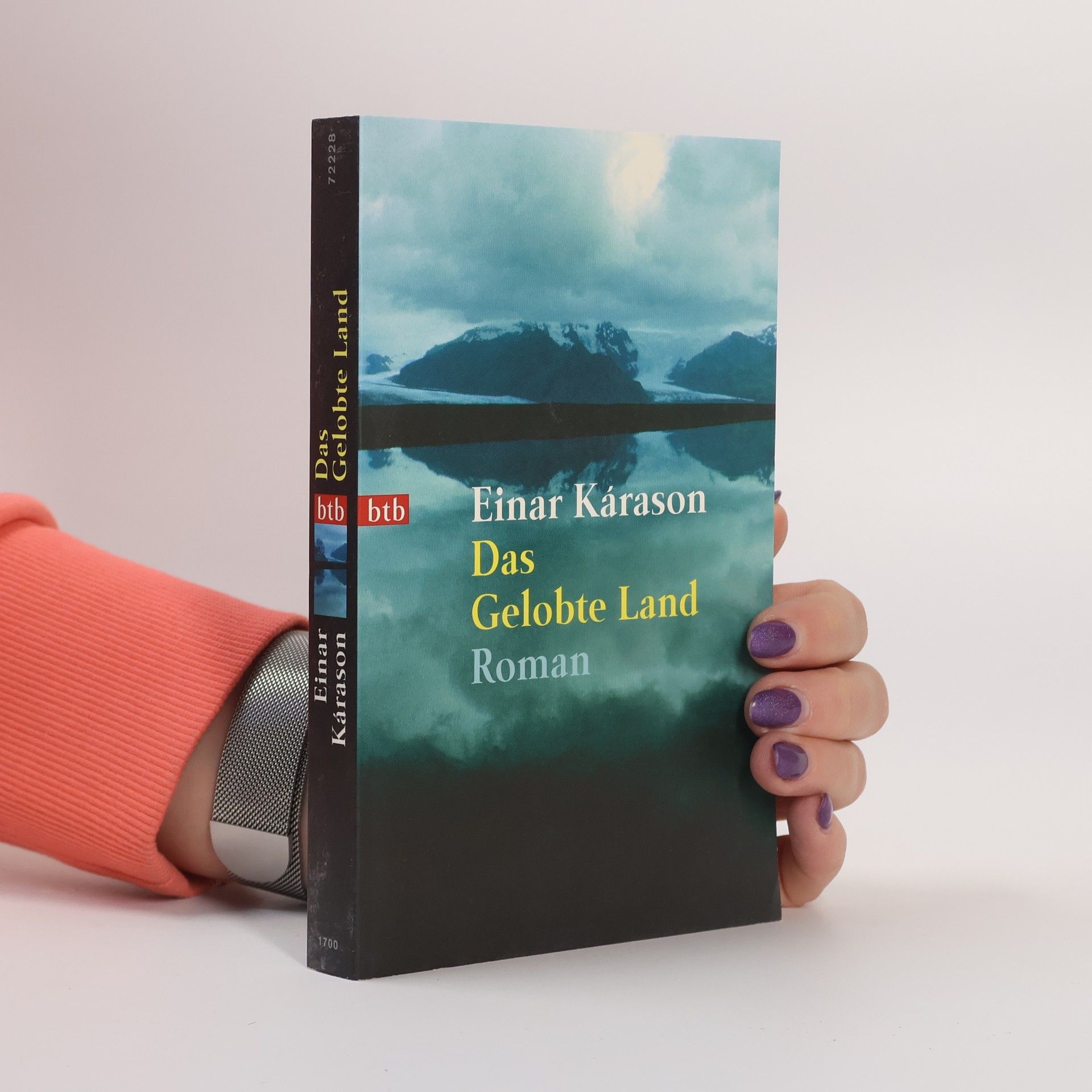 Einar Kárason Das gelobte Land