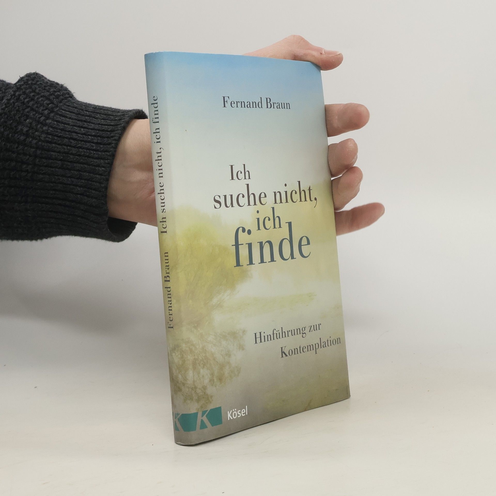 Fernand Braun Ich suche nicht, ich finde