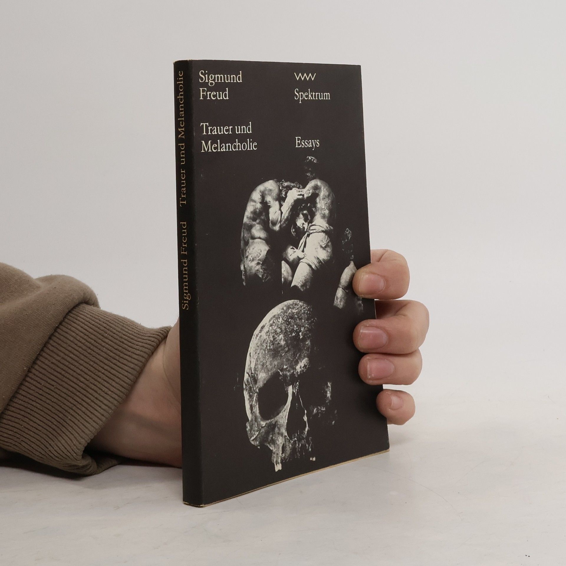 Sigmund Freud Trauer und Melancholie