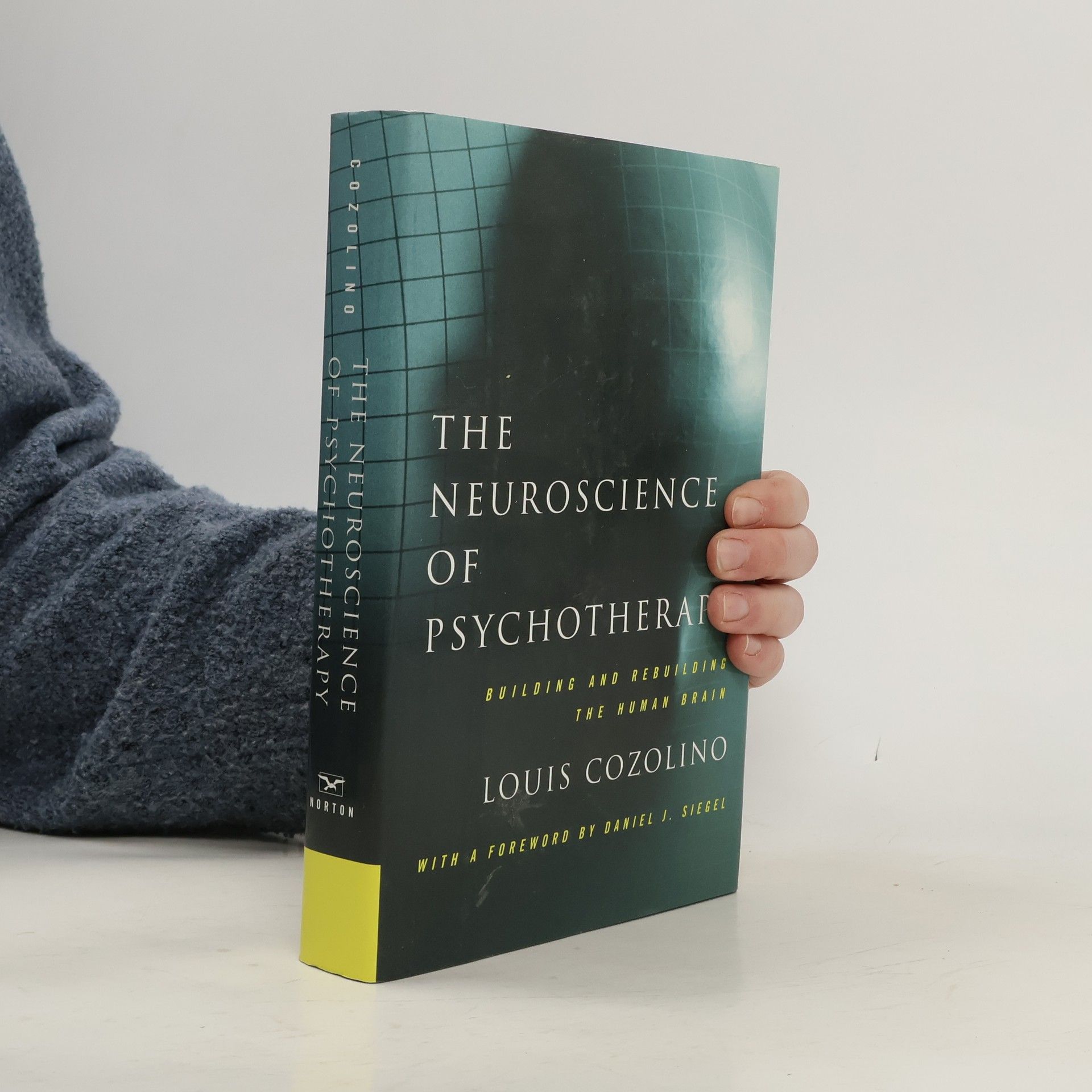 Louis J. Cozolino The Neuroscience of Psychotherapy