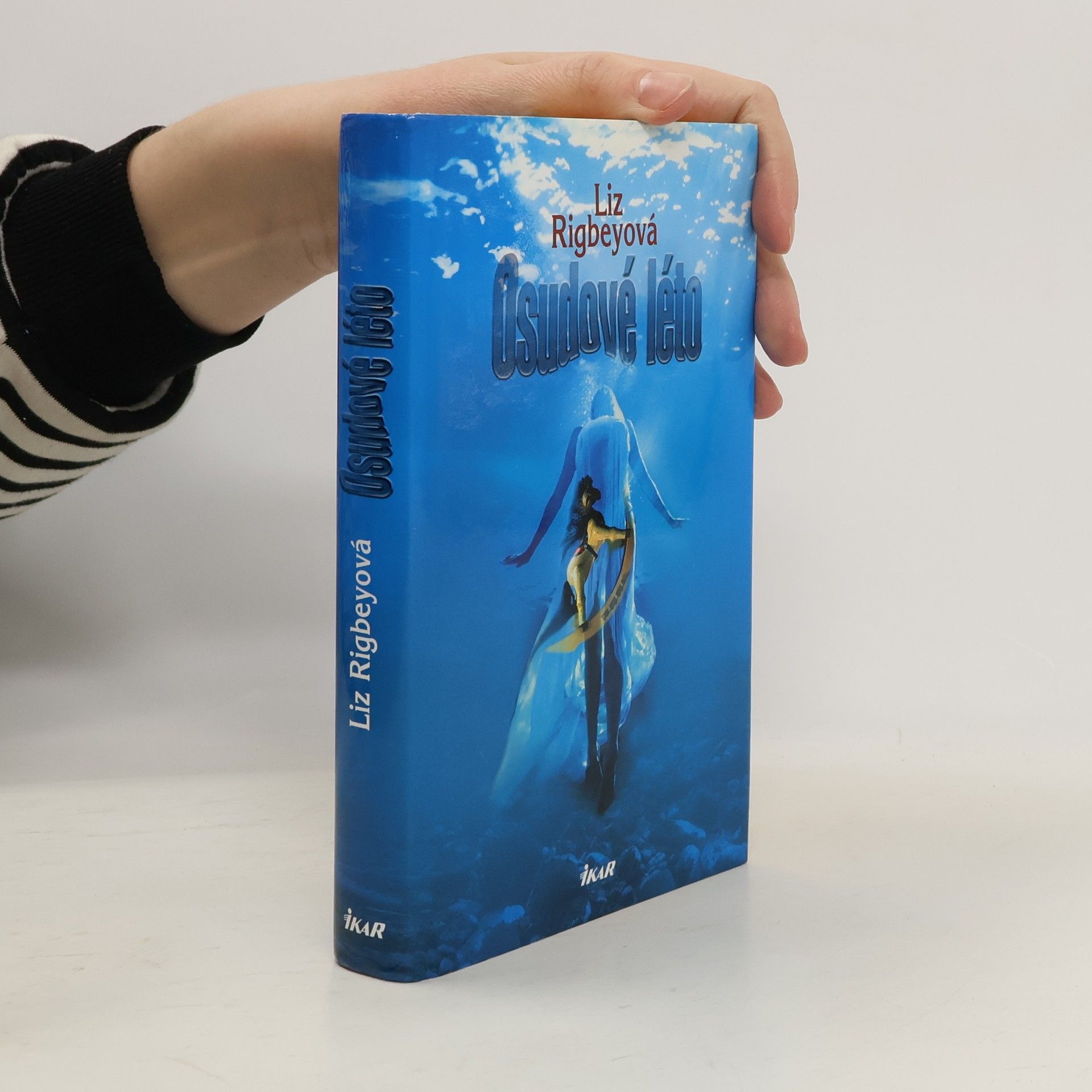 Liz Rigbey Osudové léto