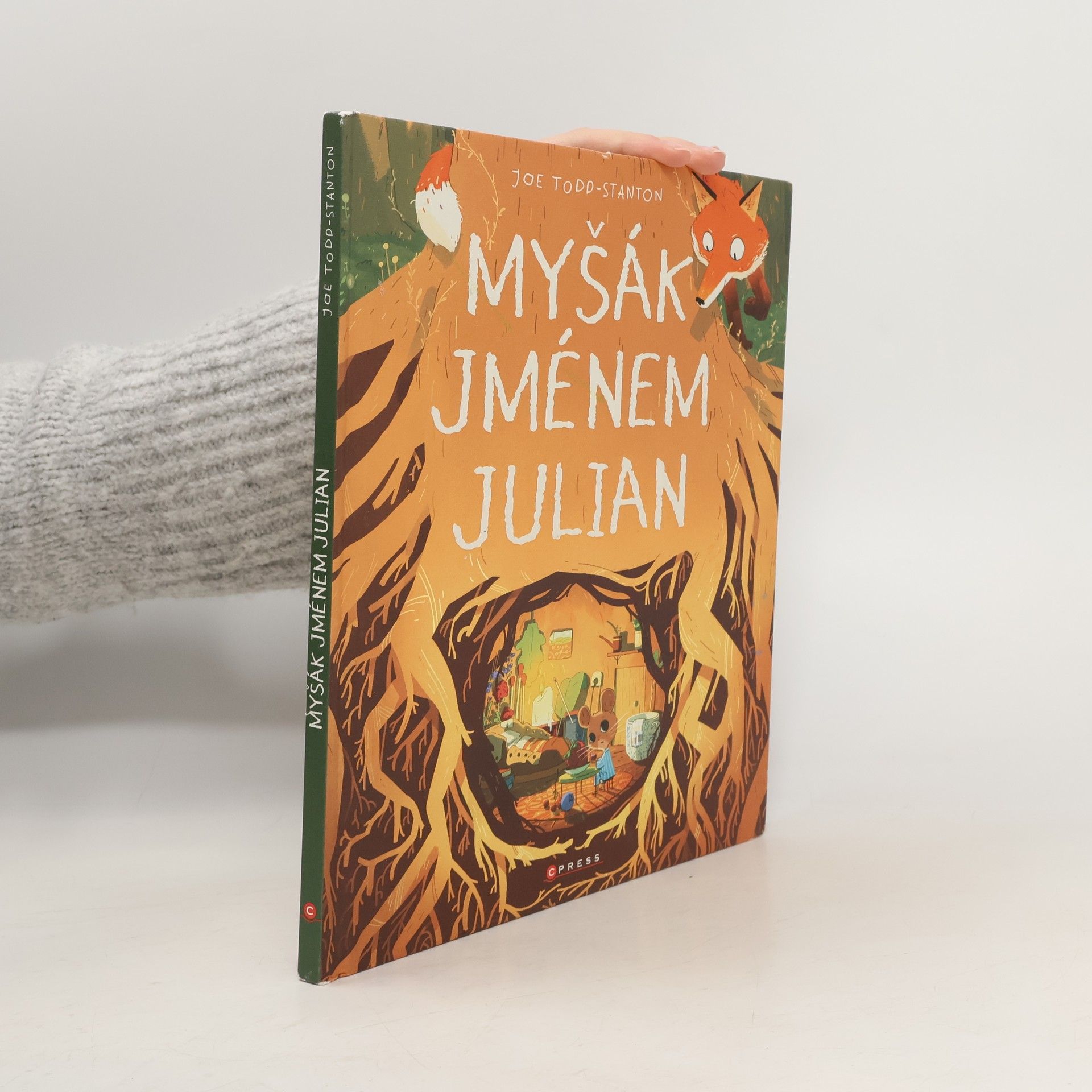 Joe Todd-Stanton Myšák jménem Julian