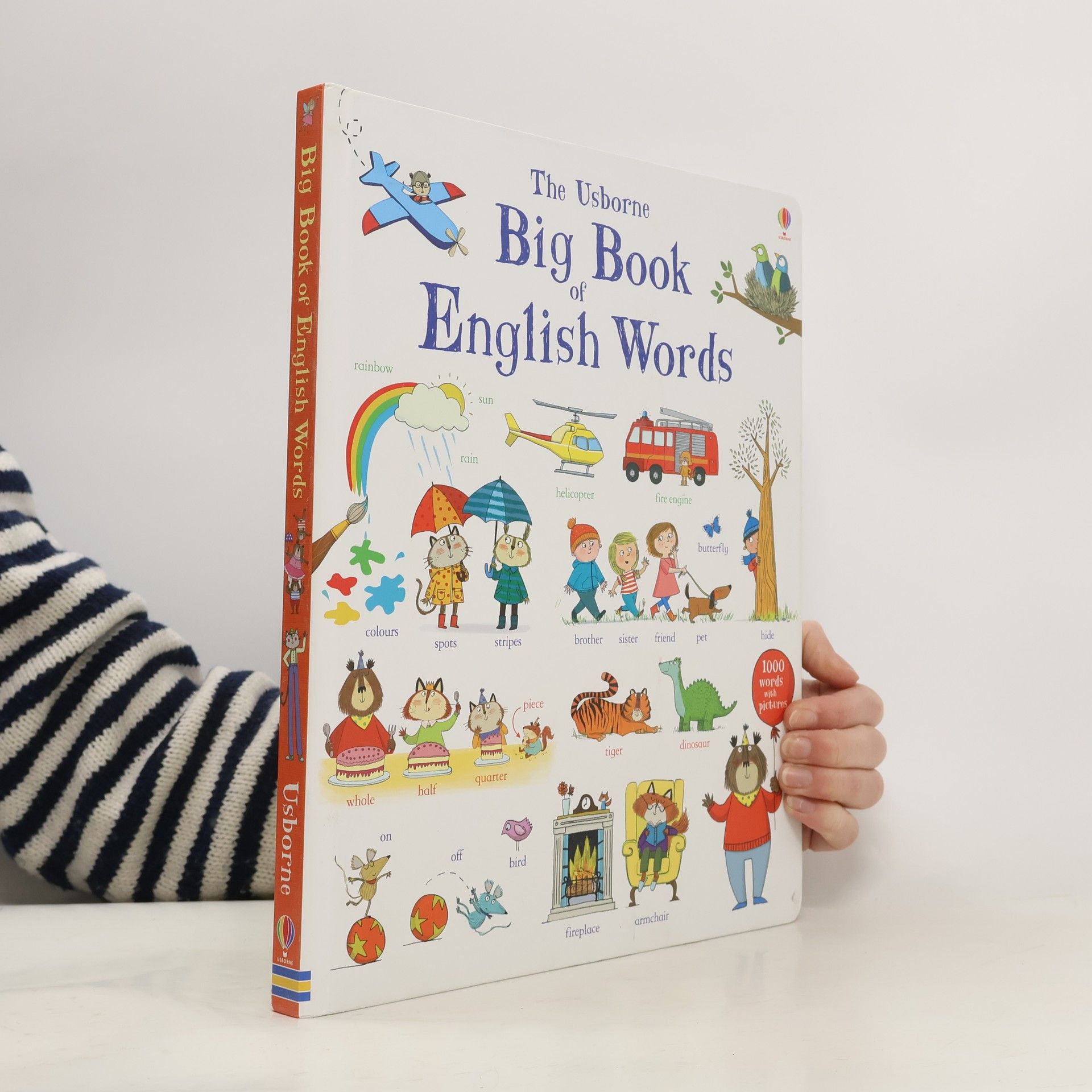 Mairi Mackinnon The Usborne Big Book of English Words
