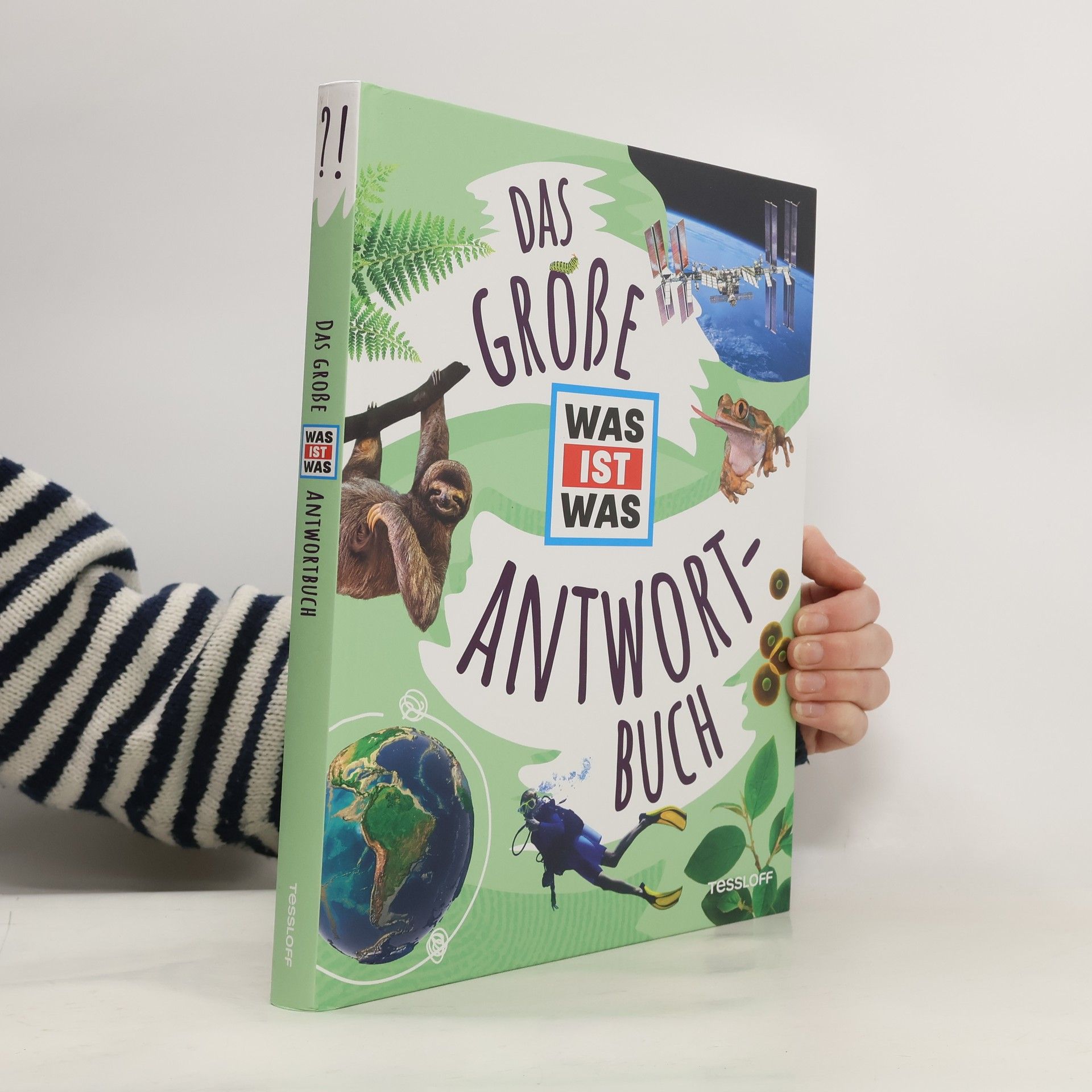 Autorenkollektiv Das große Antwortbuch