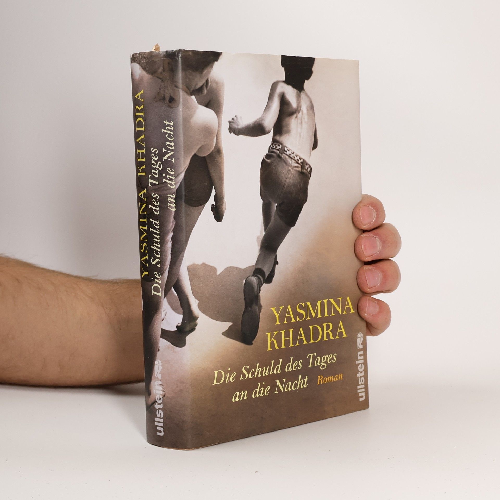 Yasmina Khadra Die Schuld des Tages an die Nacht