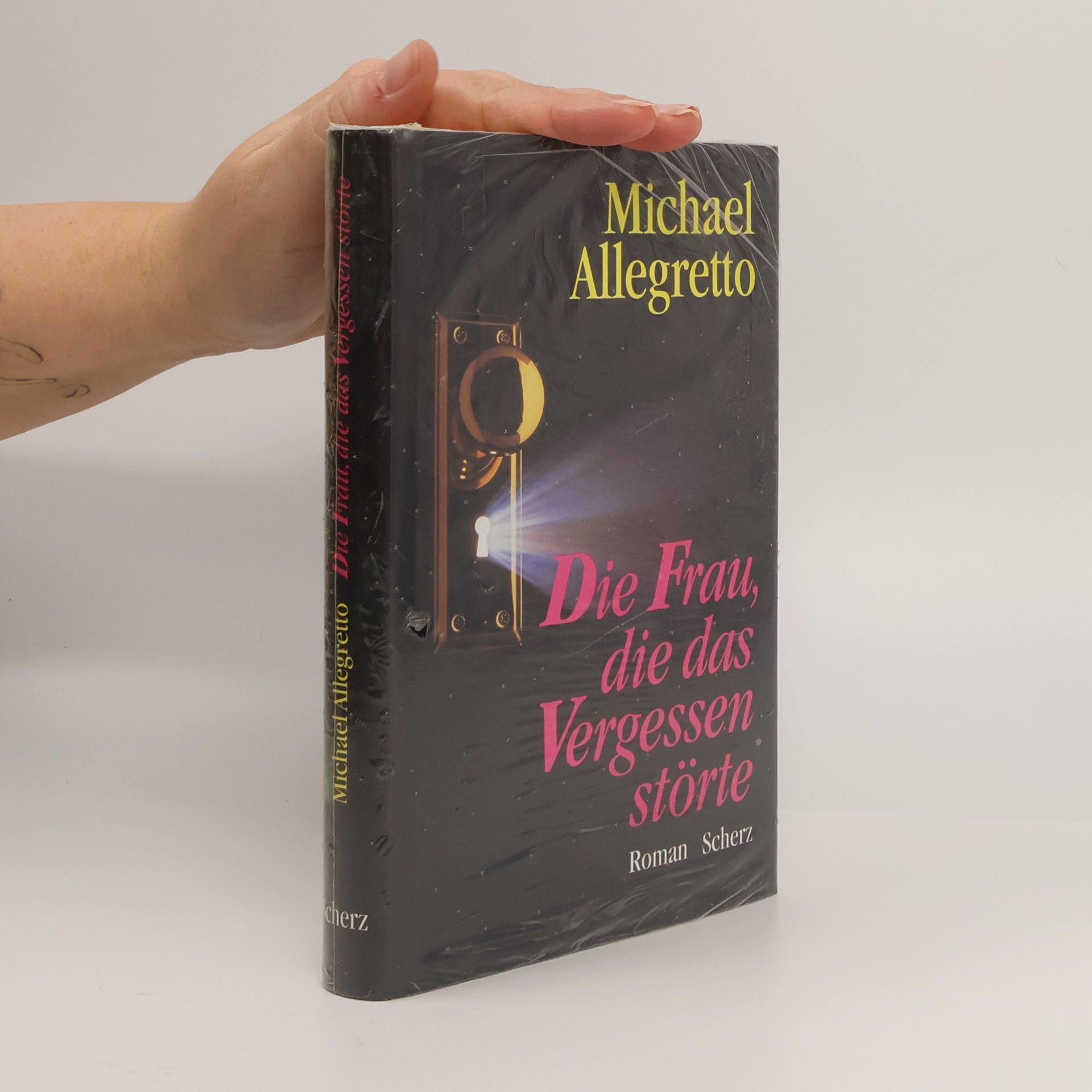 Michael Allegretto Die Frau, die das Vergessen störte