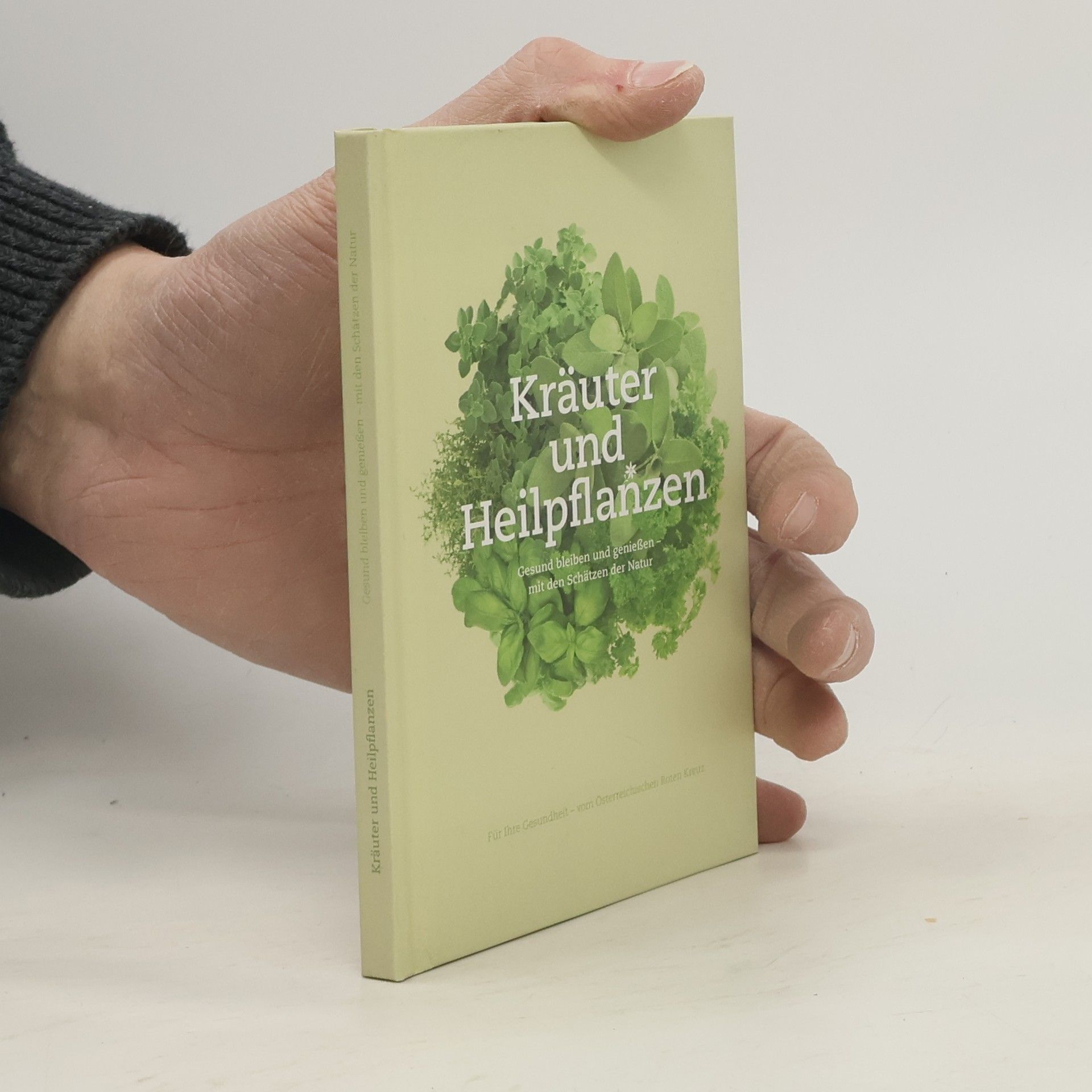 Autorenkollektiv Kräuter und Heilpflanzen