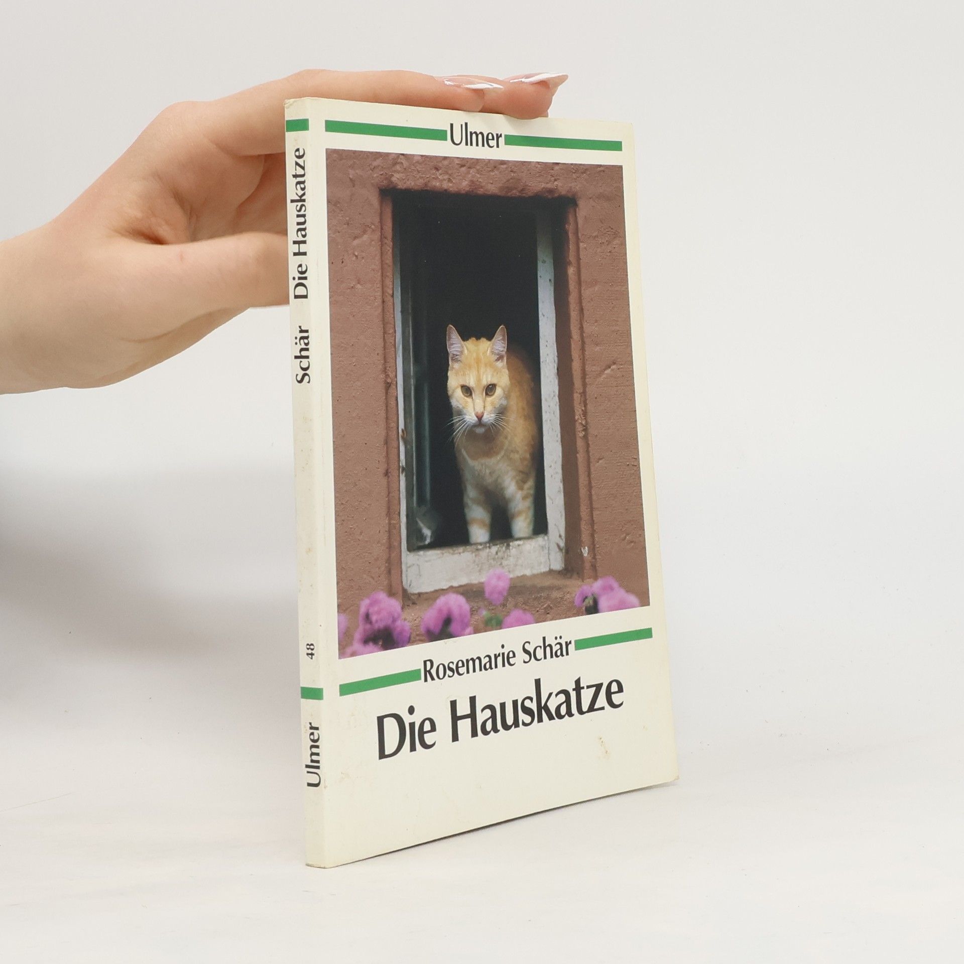 Die Hauskatze