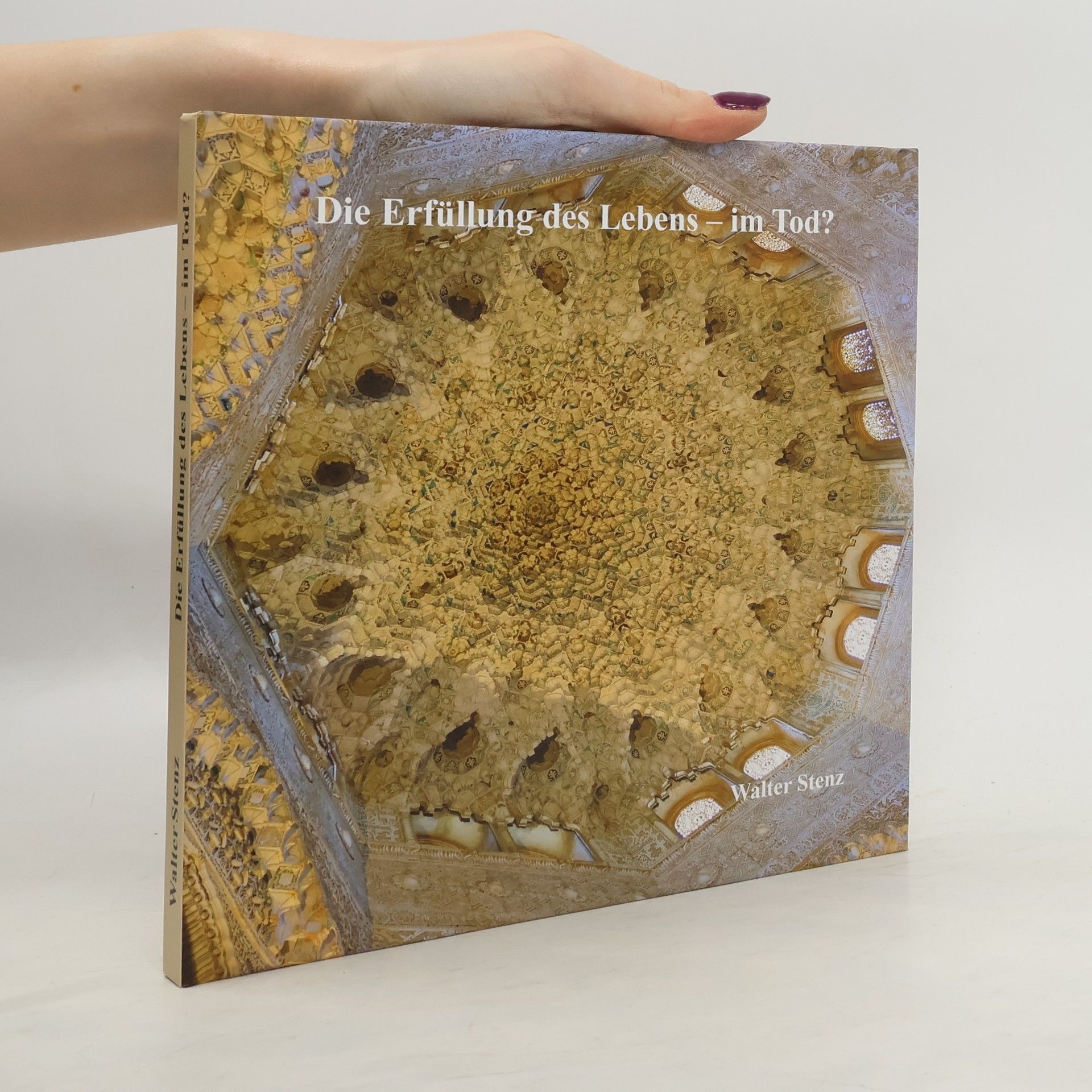 Walter Stenz Die Erfüllung des Lebens - im Tod?