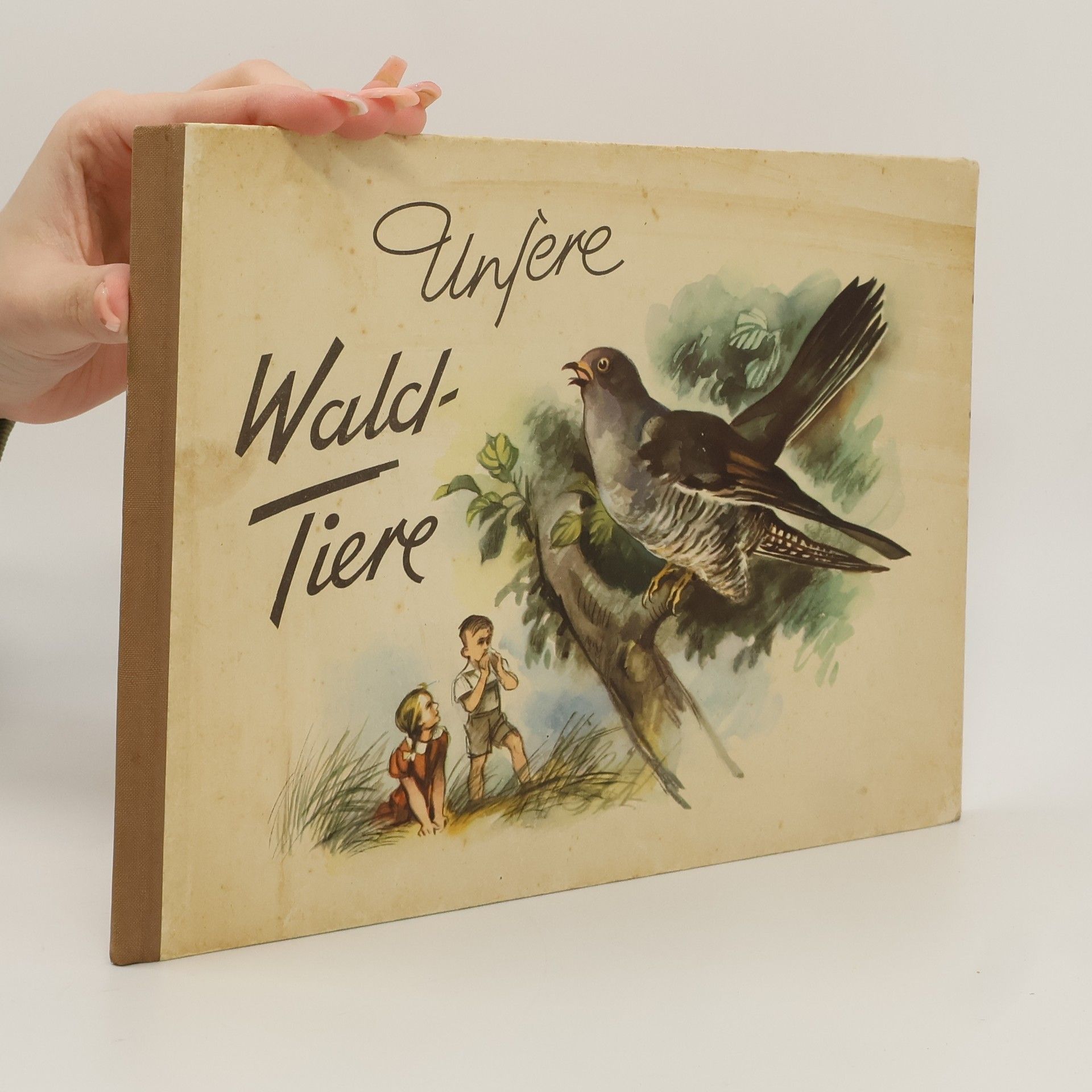 Collectif d'auteurs Unsere Wald-Tiere