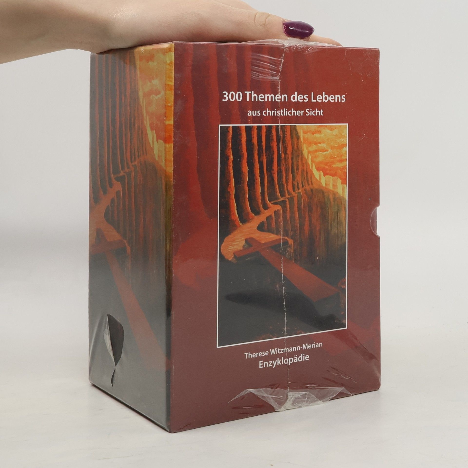 Therese Witzmann-Merian 300 Themen des Lebens aus christlicher Sicht