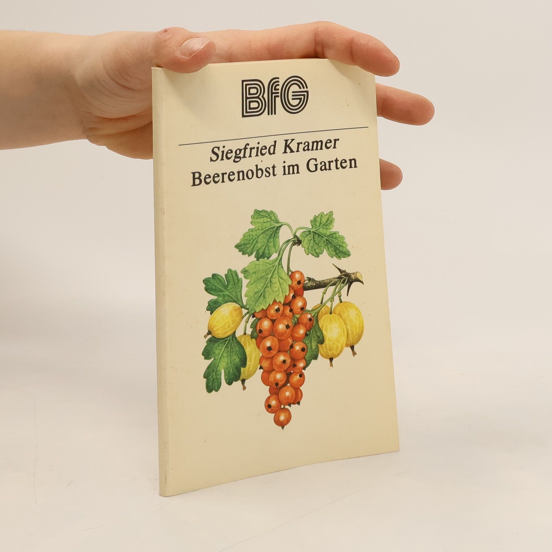 Beerenobst im Garten