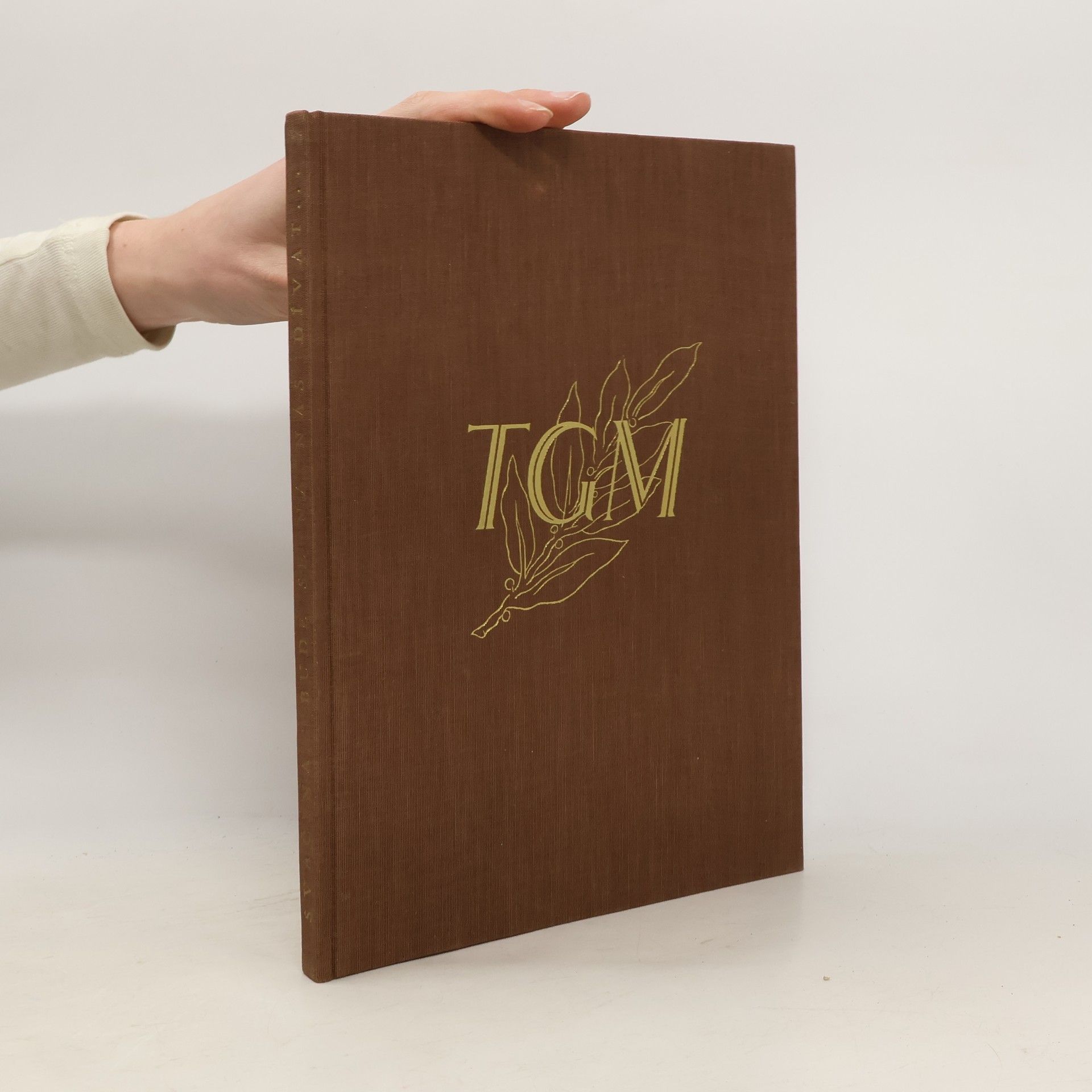 Rudolf Svačina Bude se na nás dívat... život v soukromí, smrt a pohřeb presidenta Osvoboditele