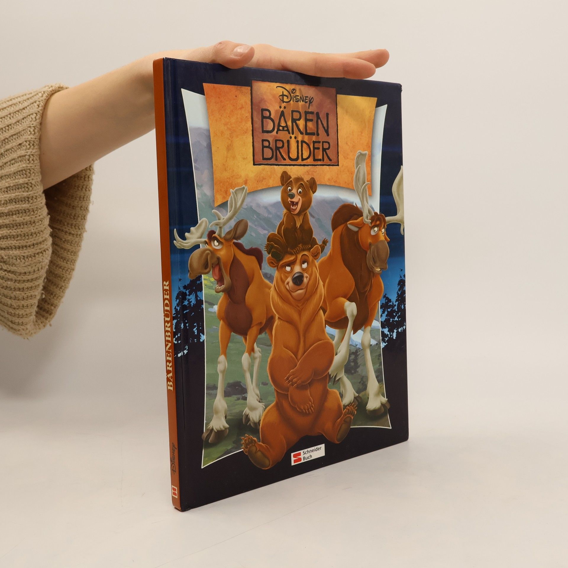 Walt Disney Disney: Bärenbrüder