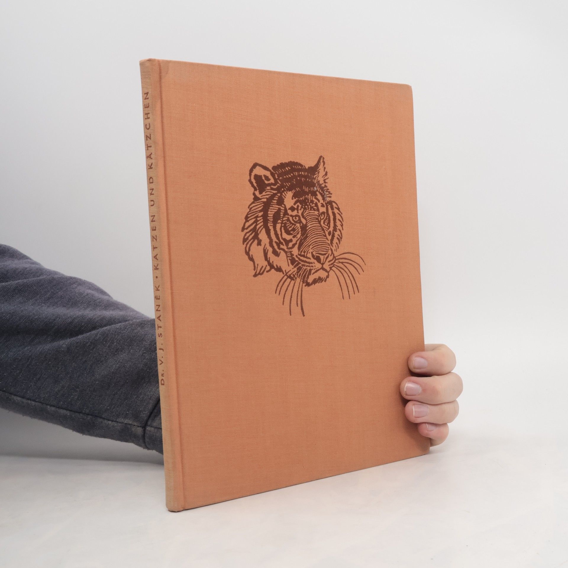 Václav Jan Staněk Katzen und Kätzchen