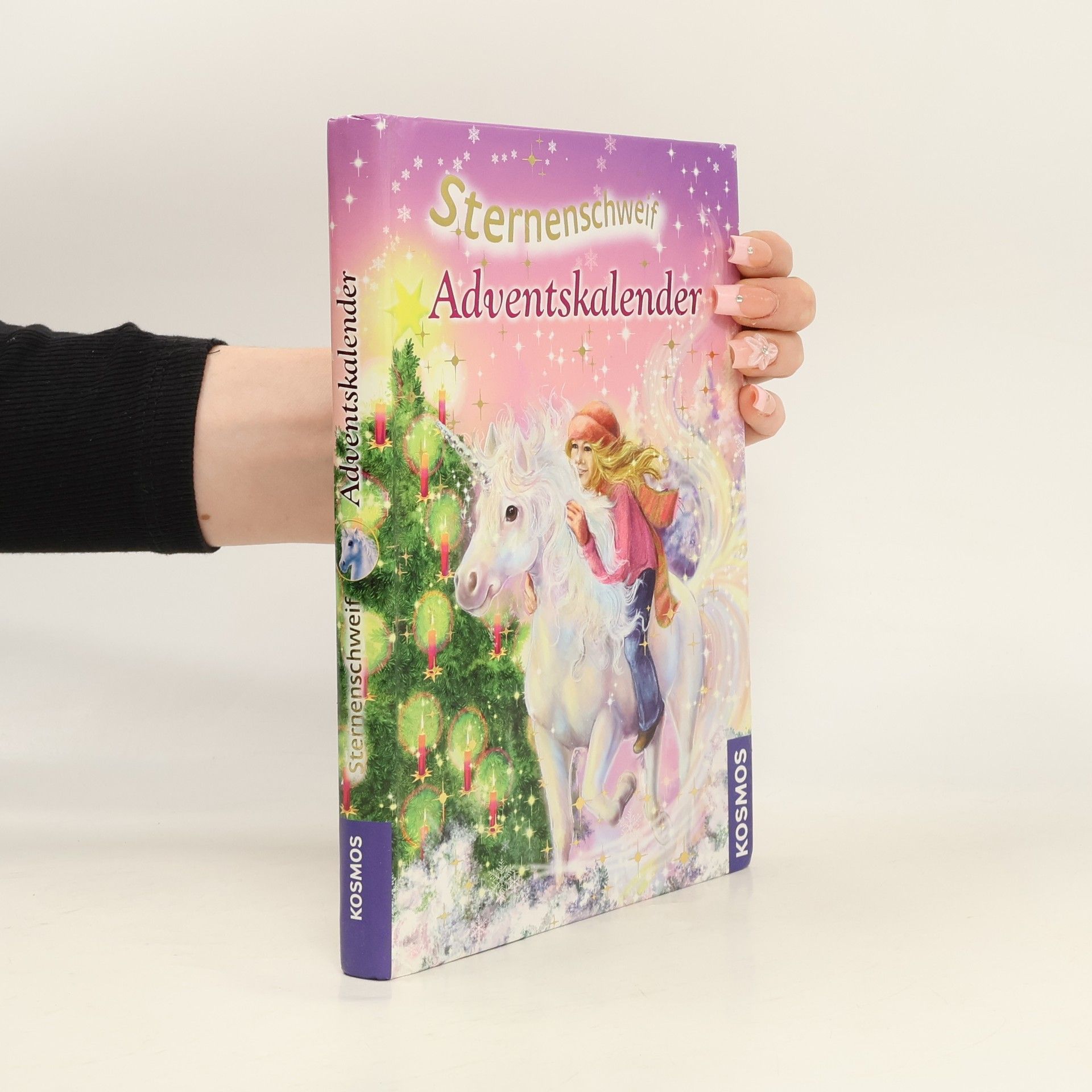 Carolin Ina Schröter Sternenschweif-Adventskalender