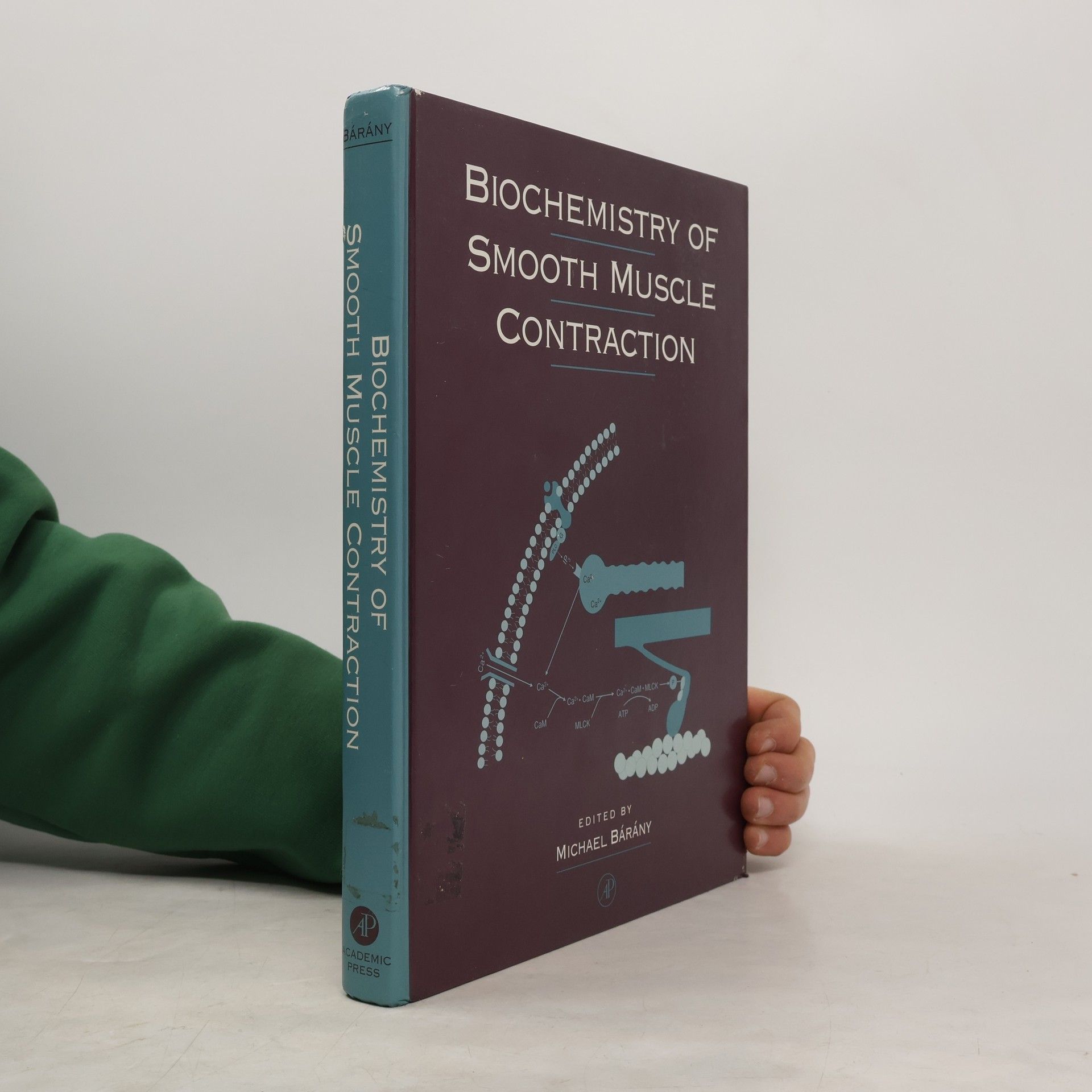 Michael Bárány Biochemistry of Smooth Muscle Contraction