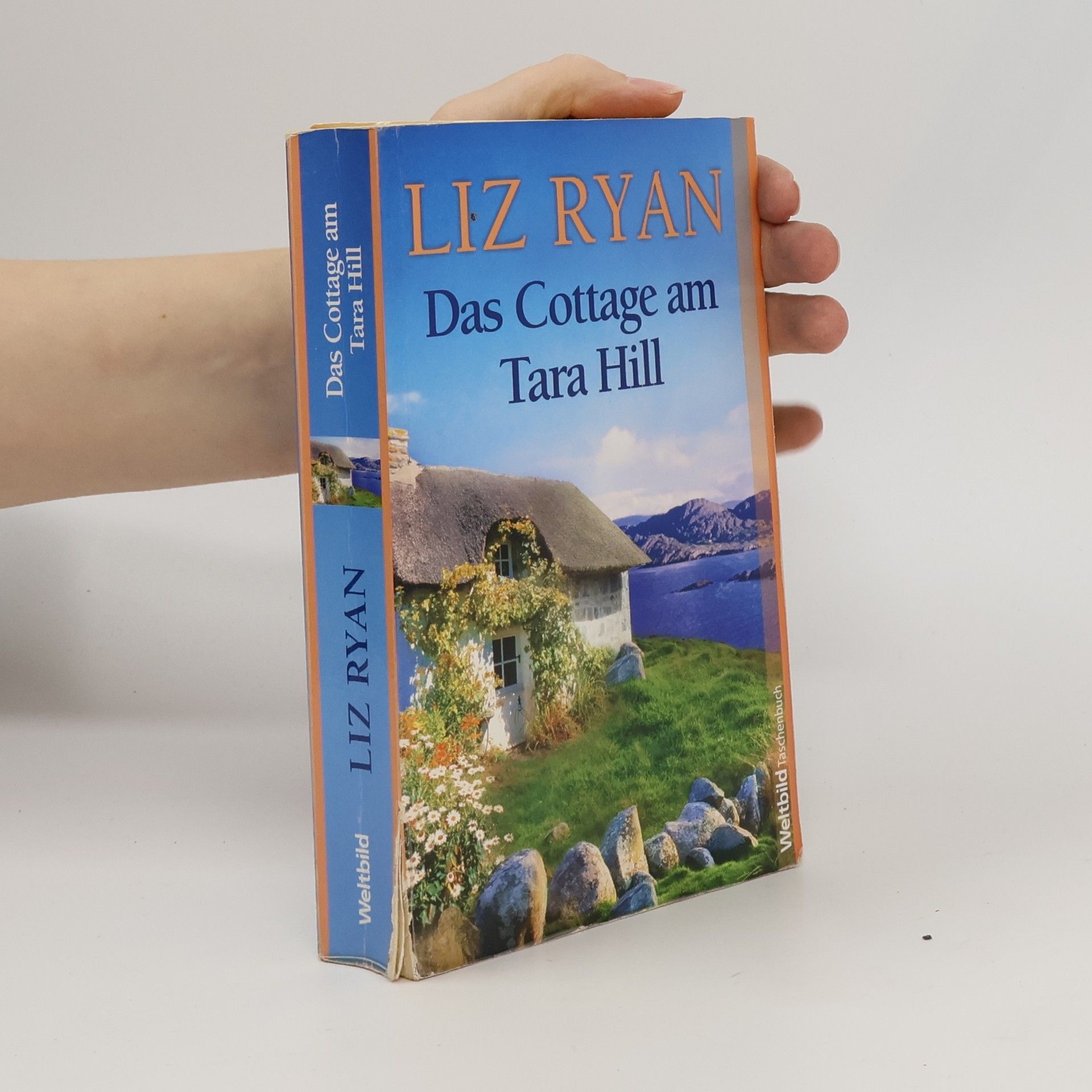 Liz Ryan Das Cottage am Tara Hill