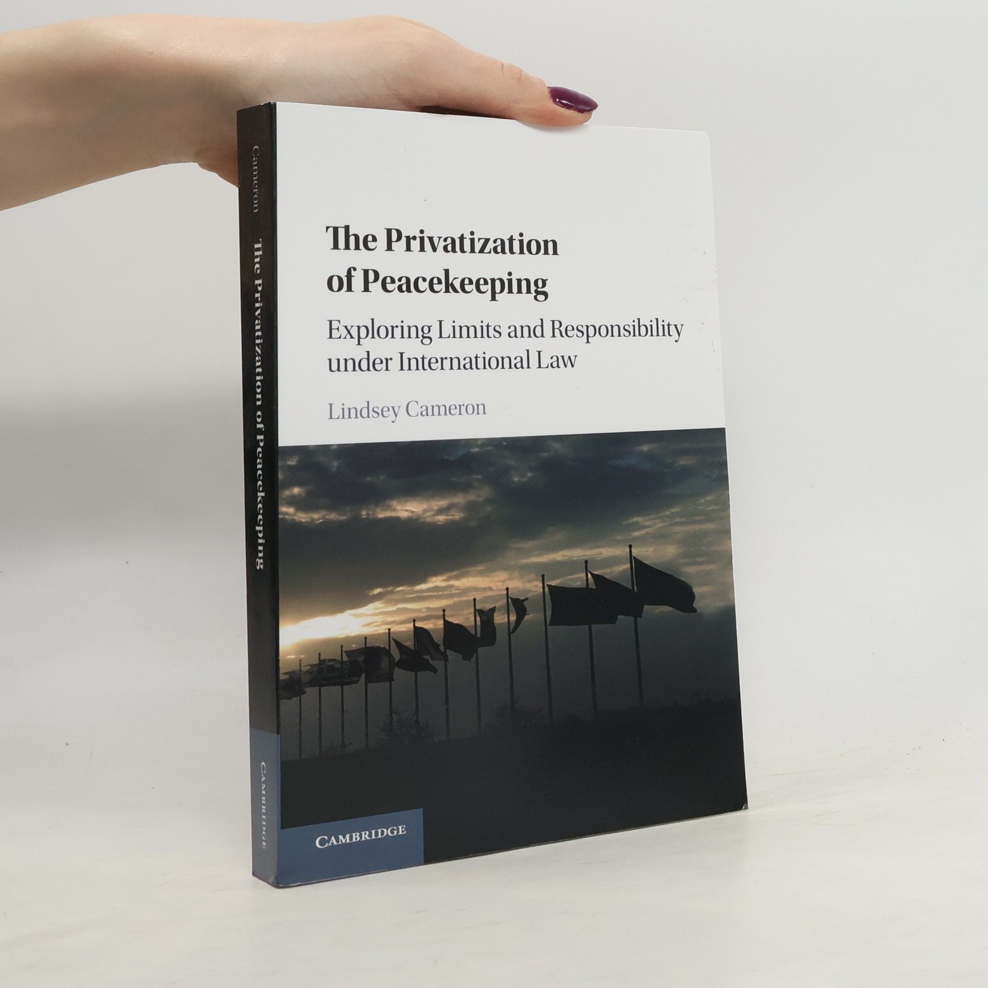 Cameron A Lindsey The Privatization of Peacekeeping