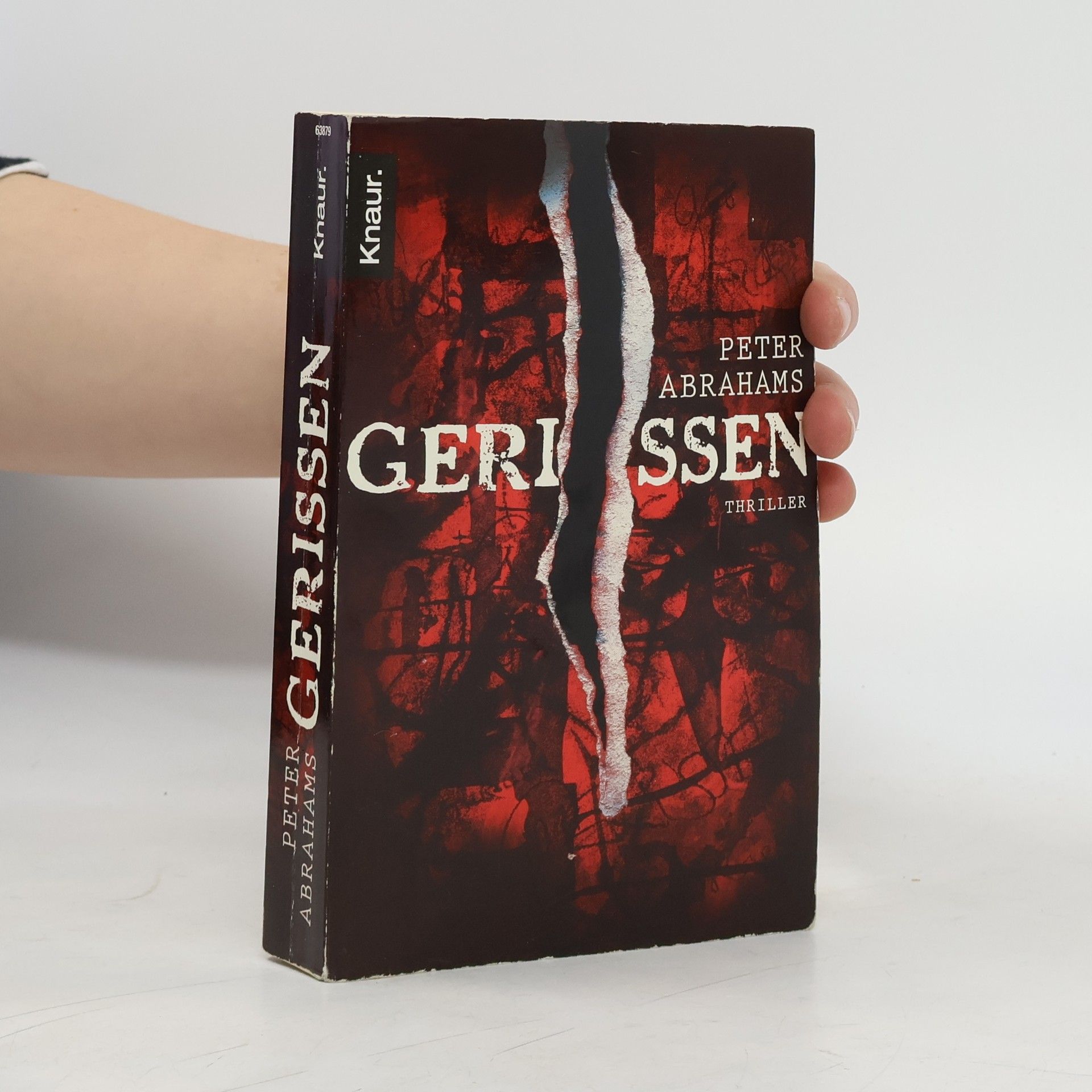 Peter Abrahams Gerissen