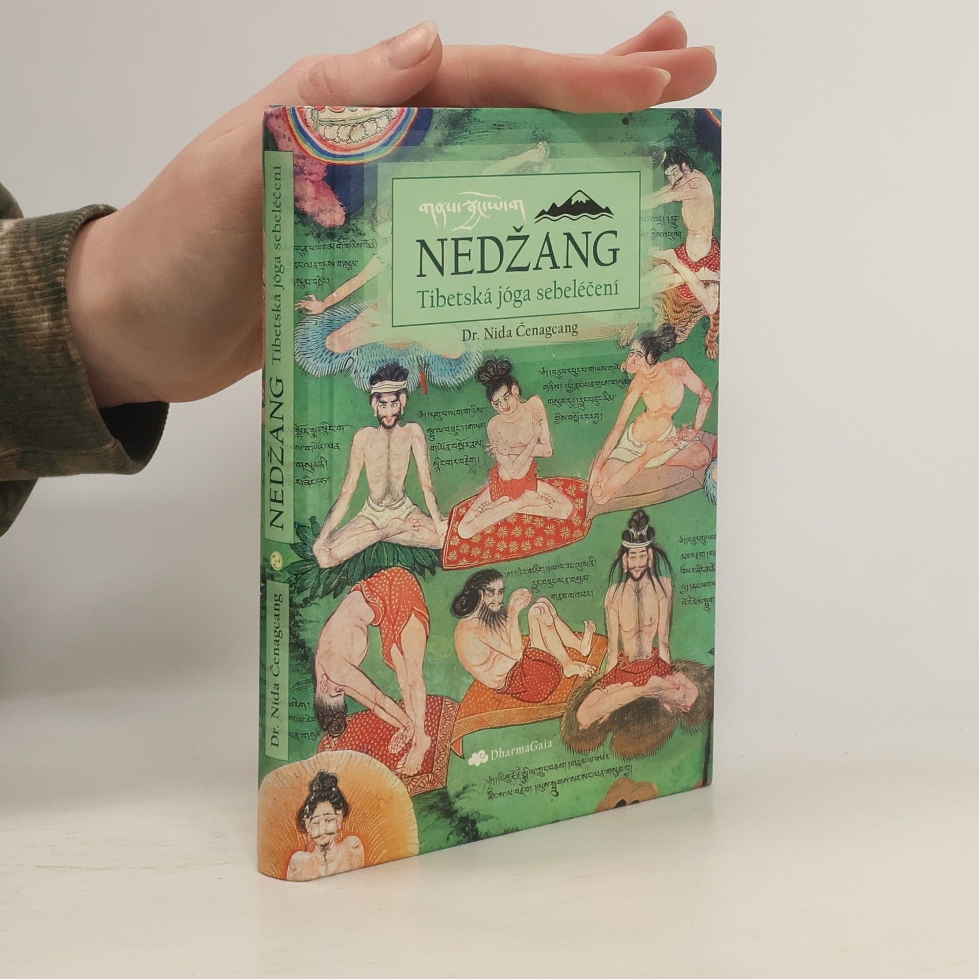 Nida Čenagcang Nedžang. Tibetská jóga sebeléčení