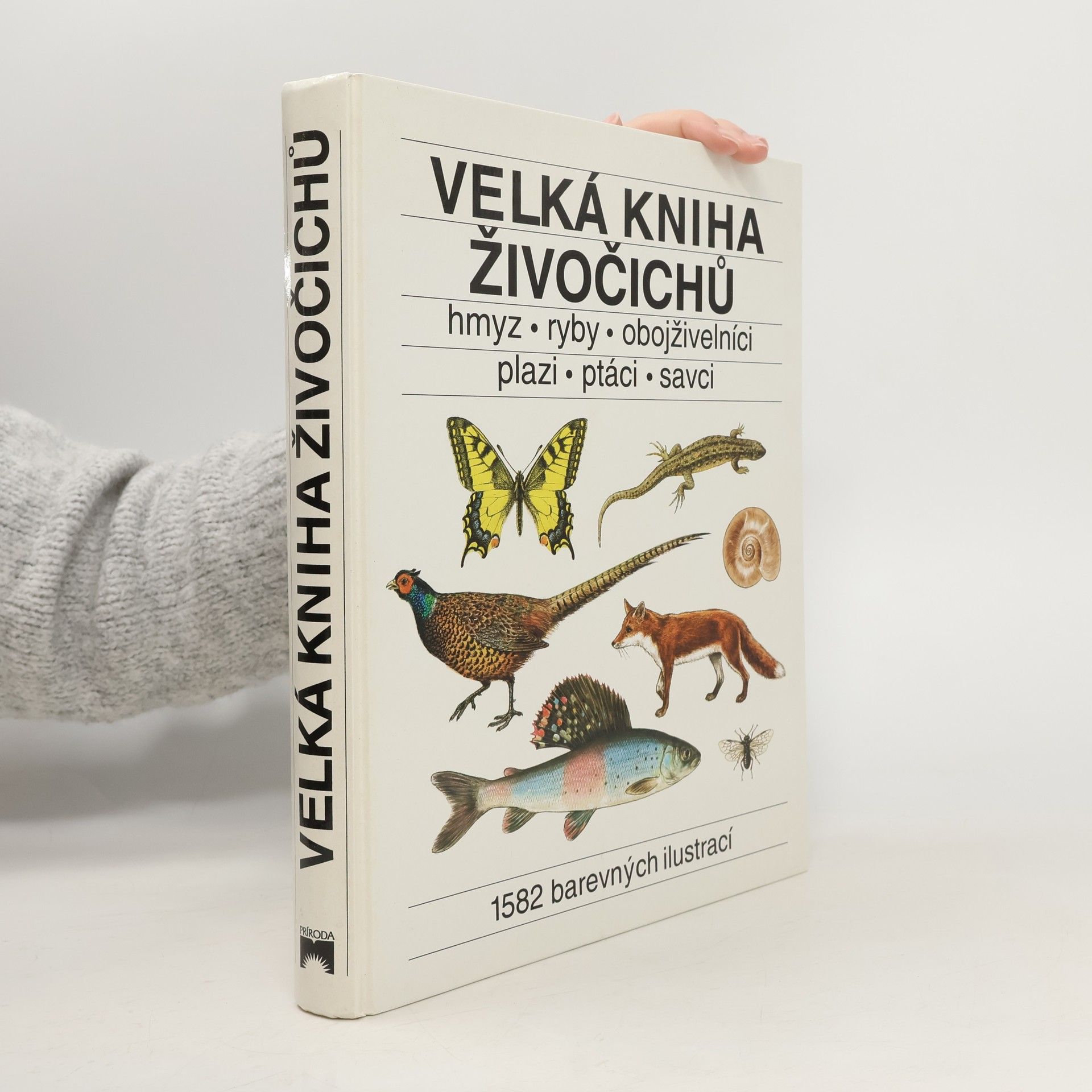 Velká kniha živočichů : hmyz, ryby, obojživelníci, plazi, ptáci, savci