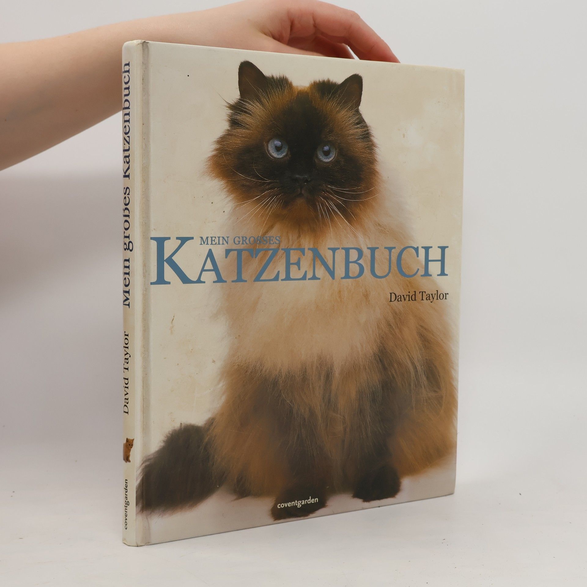David Conrad Taylor Mein grosses Katzenbuch