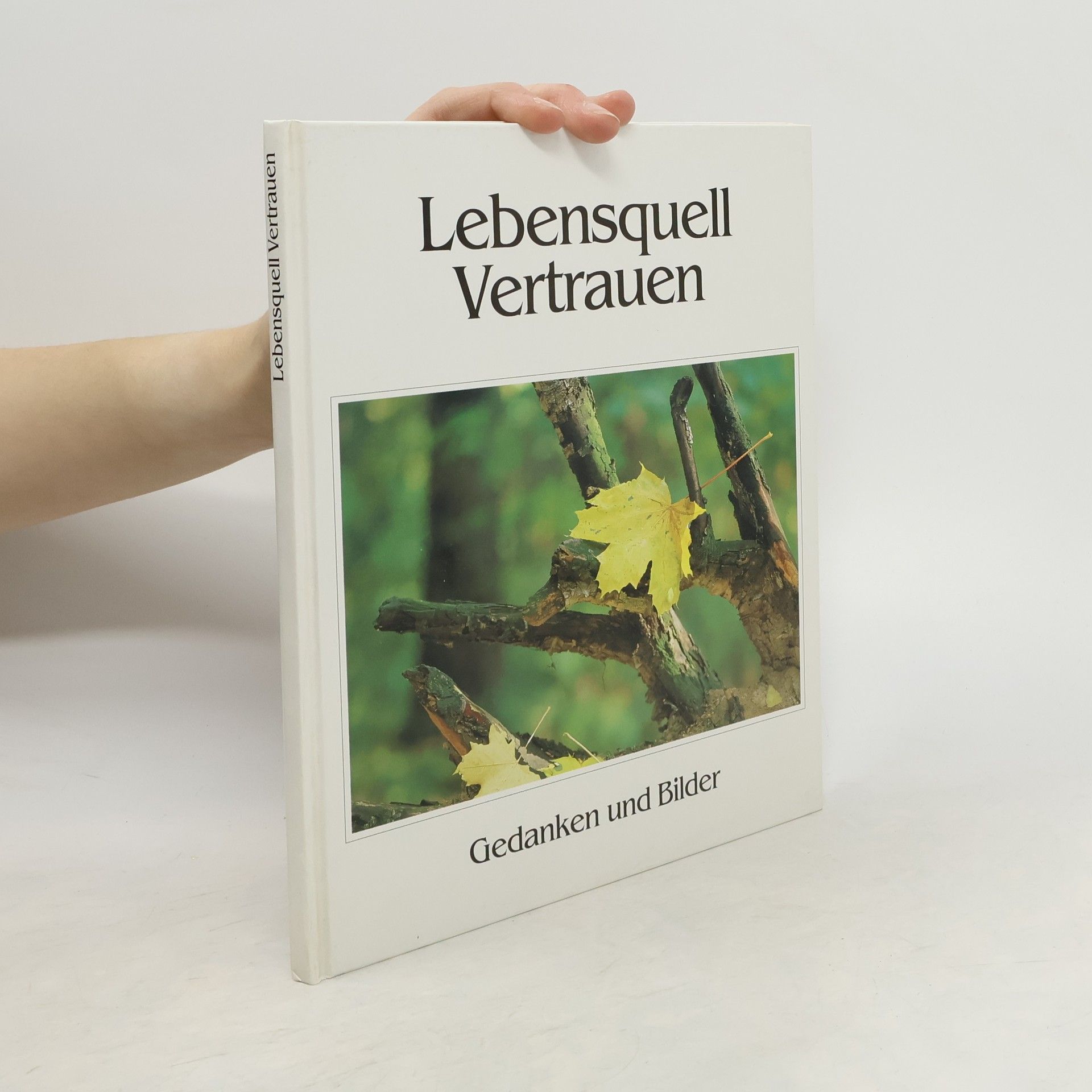 Steffen Thost Lebensquell Vetrauen