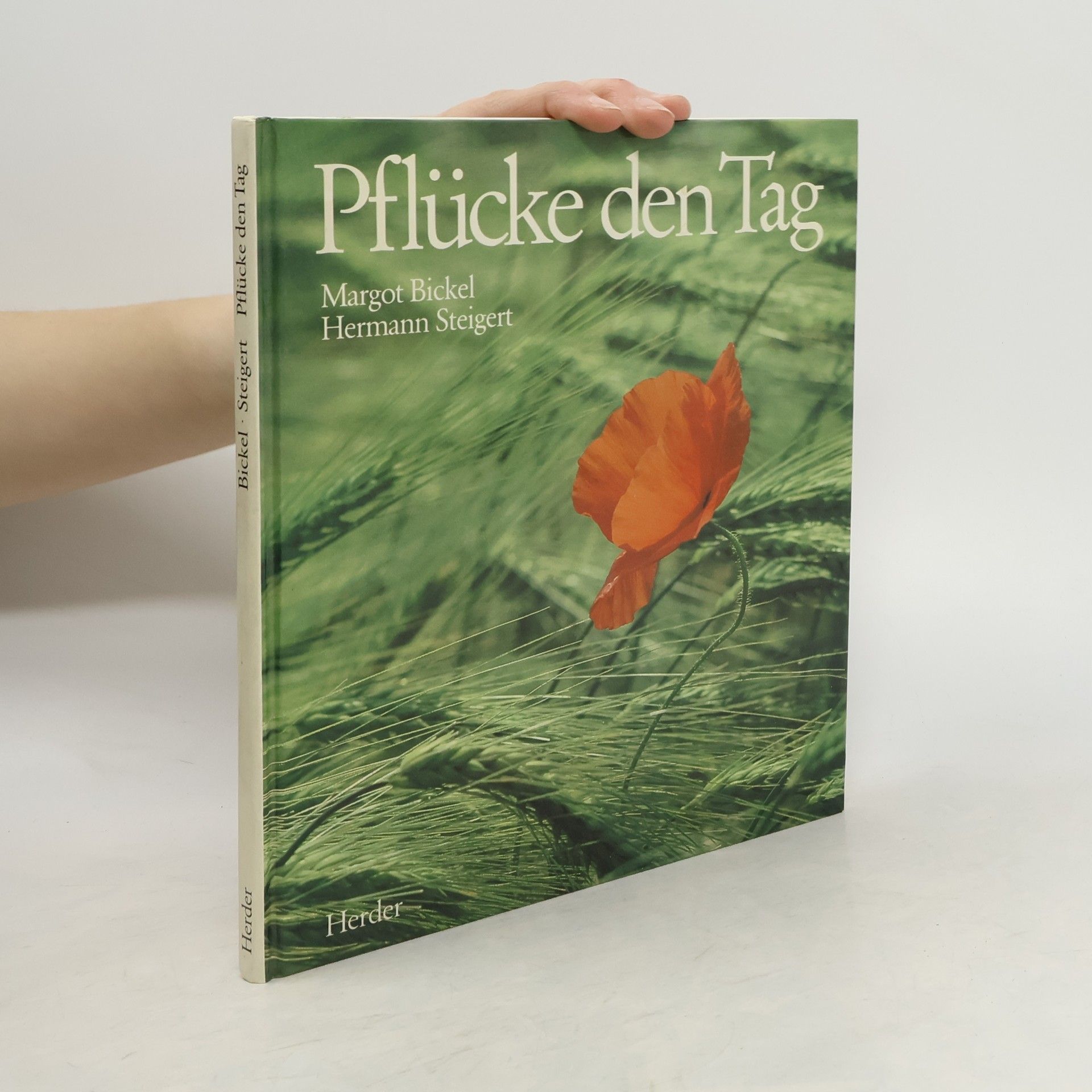 Margot Bickel Pflücke den Tag