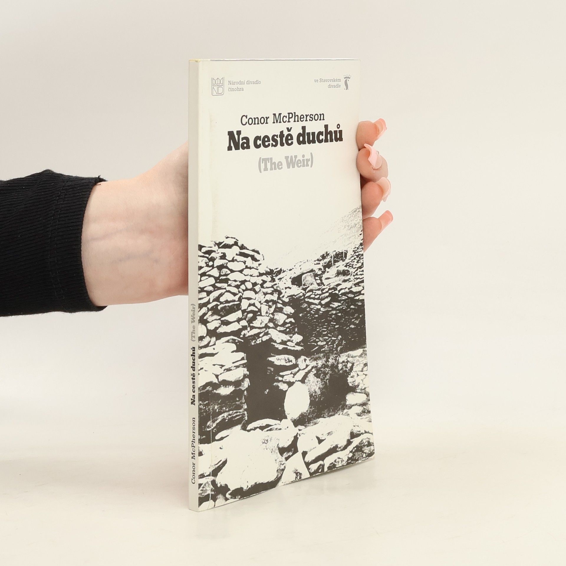 Conor McPherson Na cestě duchů