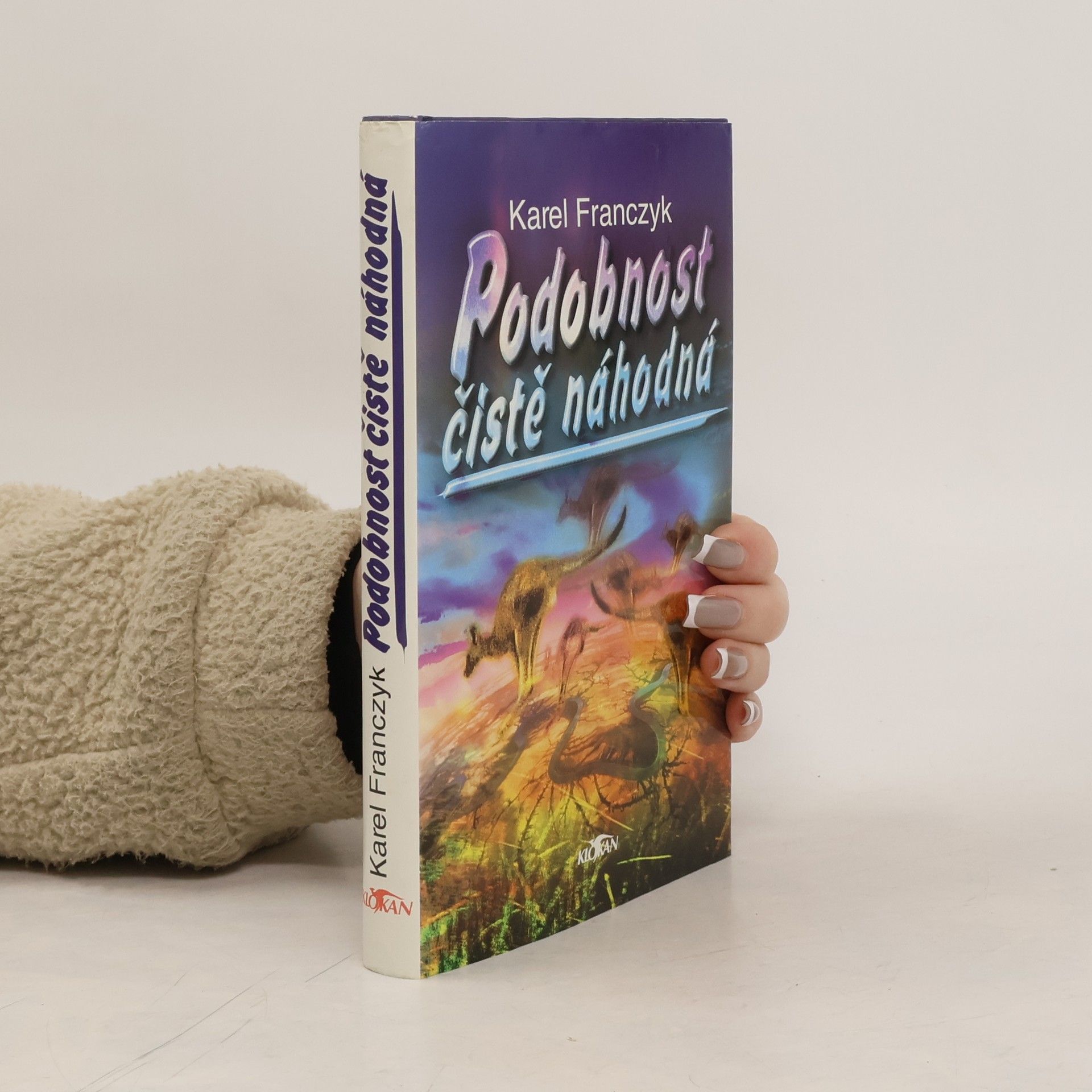 Karel Franczyk Podobnost čistě náhodná