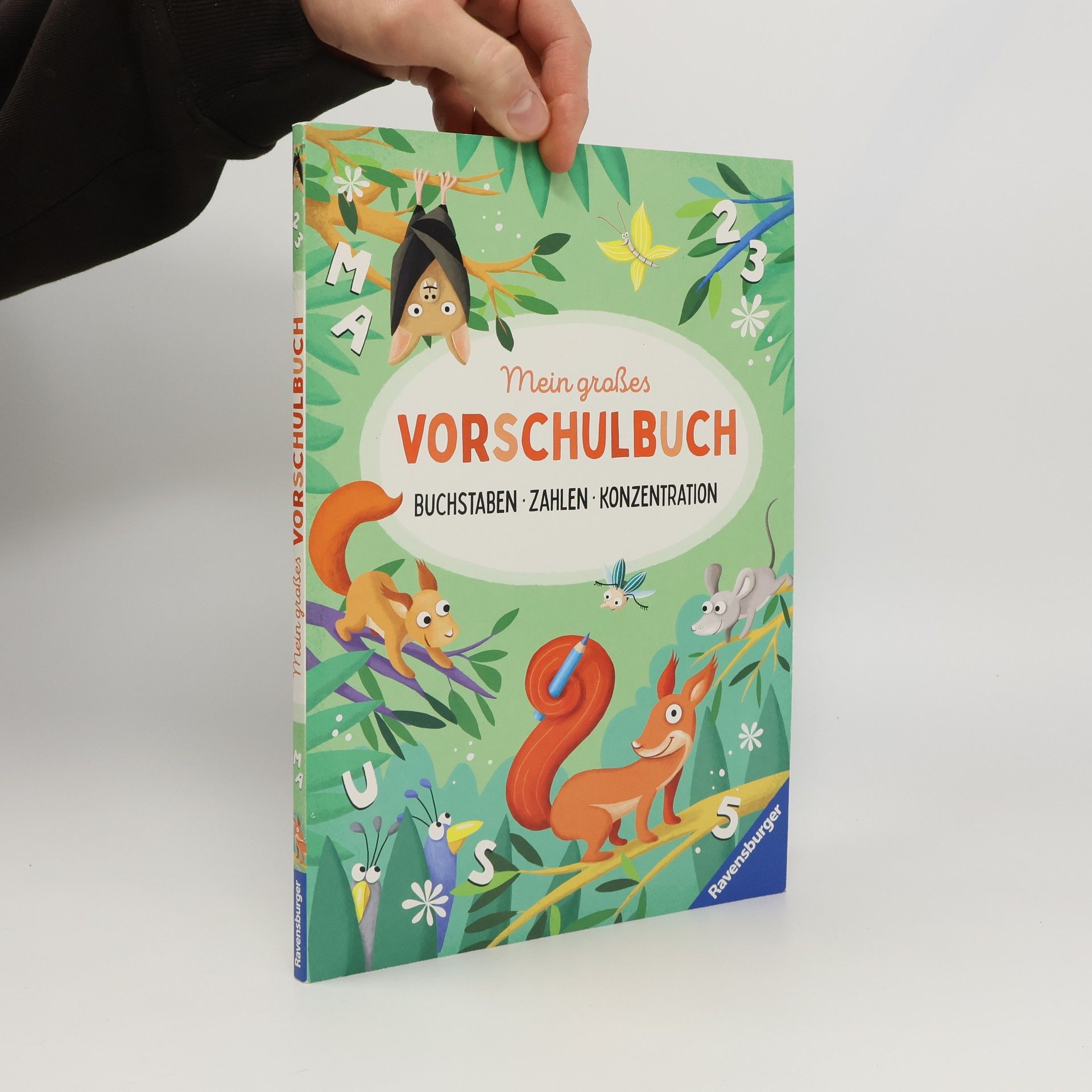 Mein großes Vorschulbuch: Buchstaben Zahlen Konzentration