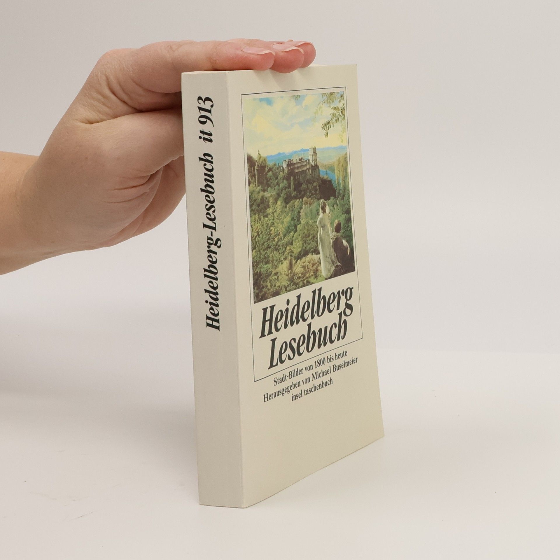 Michael Buselmeier Heidelberg-Lesebuch